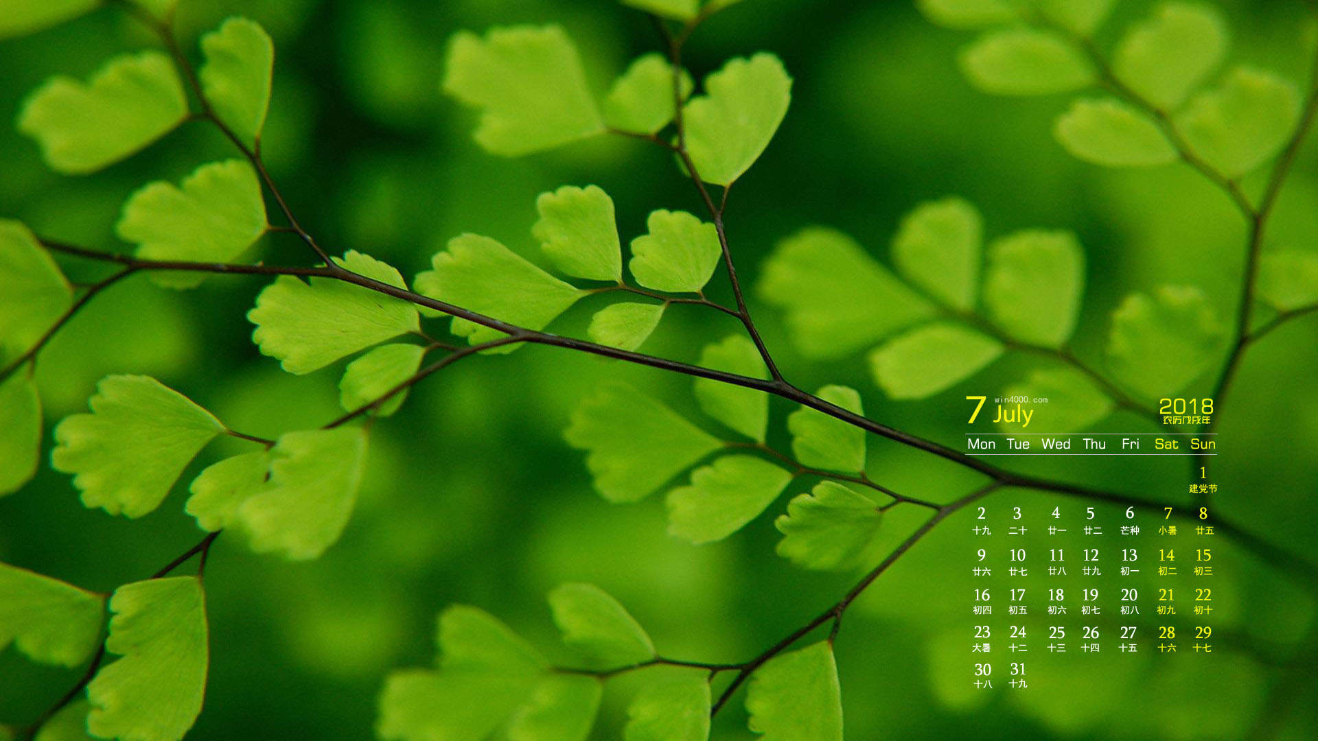 绿色图片图片