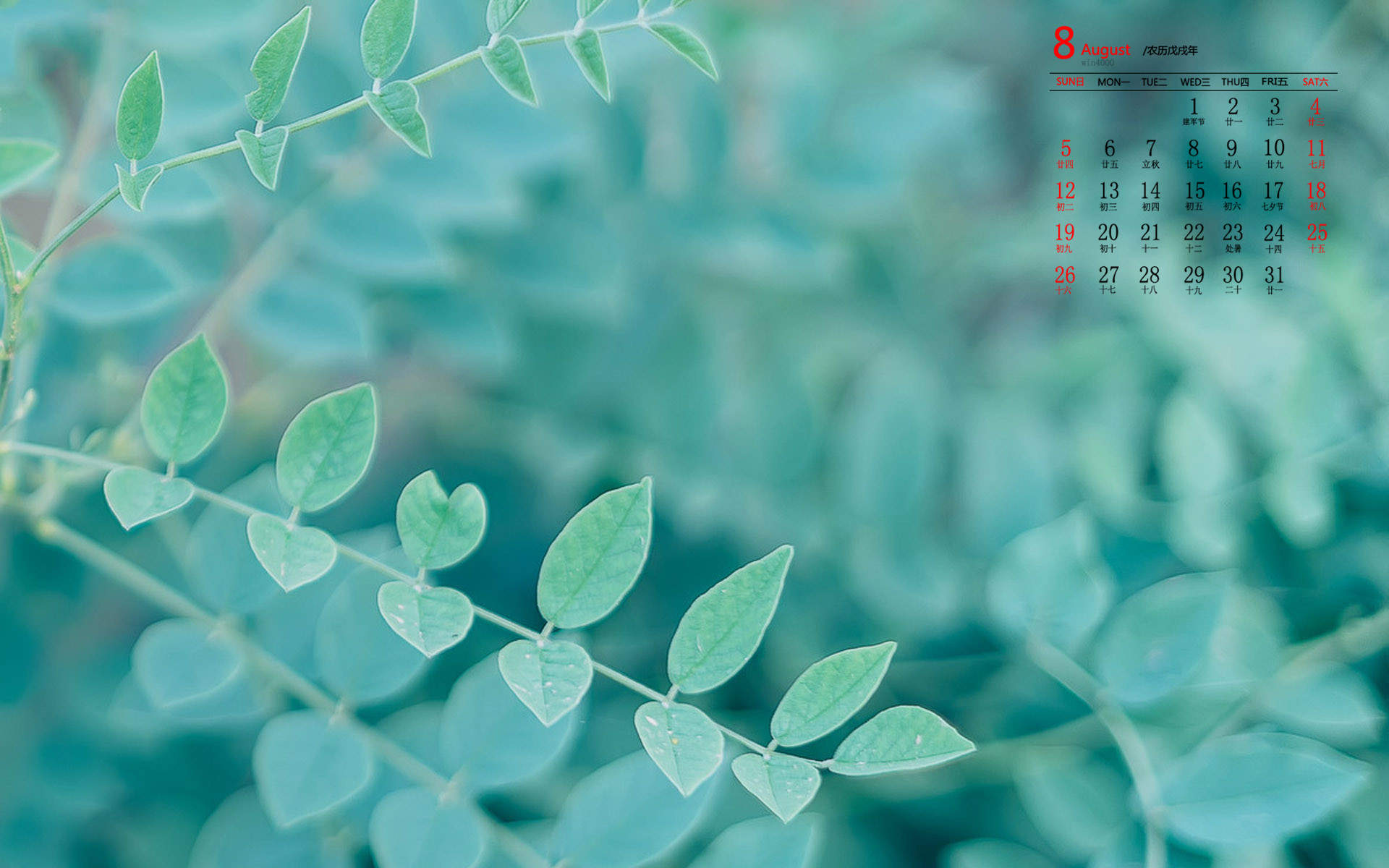 绿色植物图片