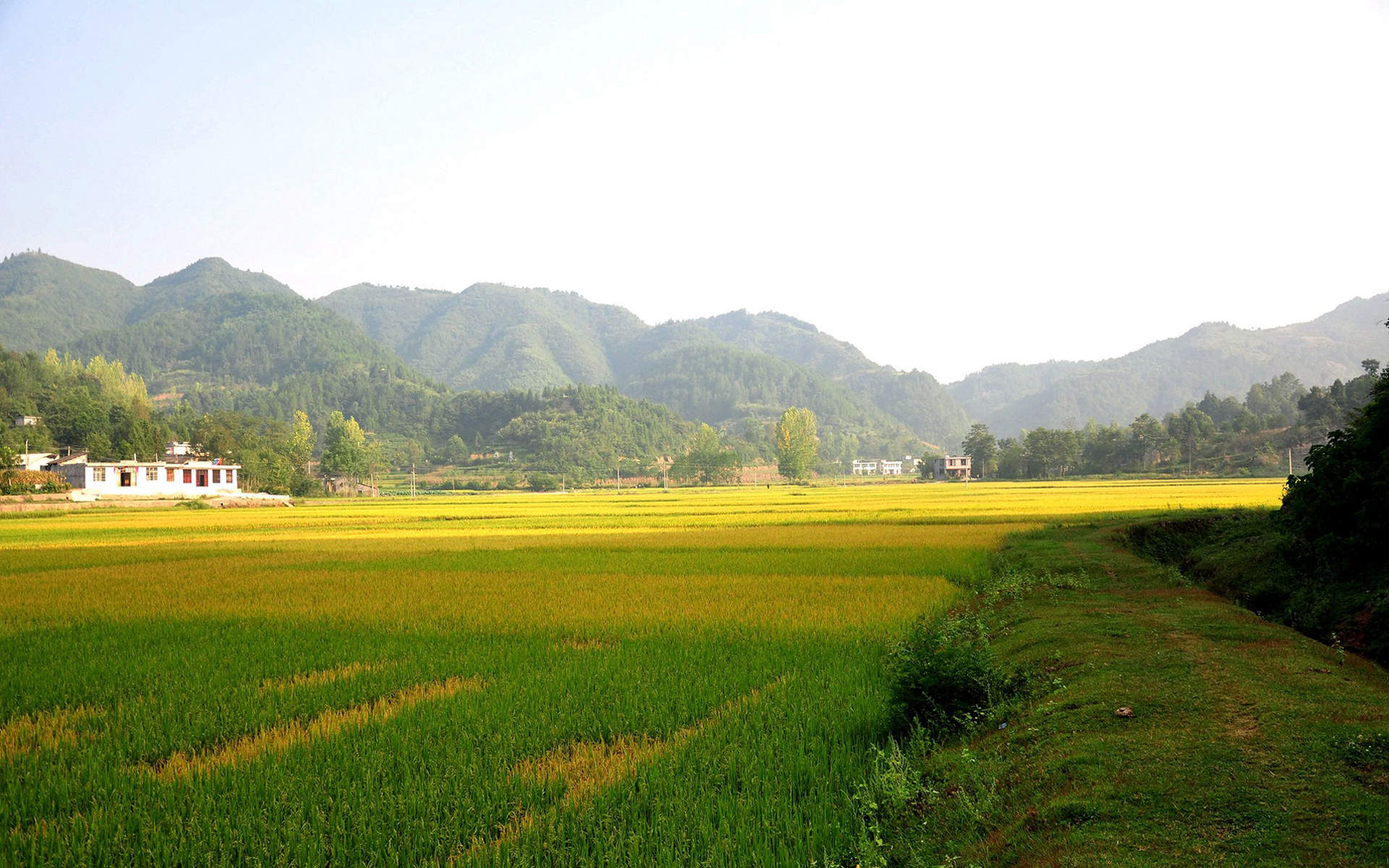 田园风光图片