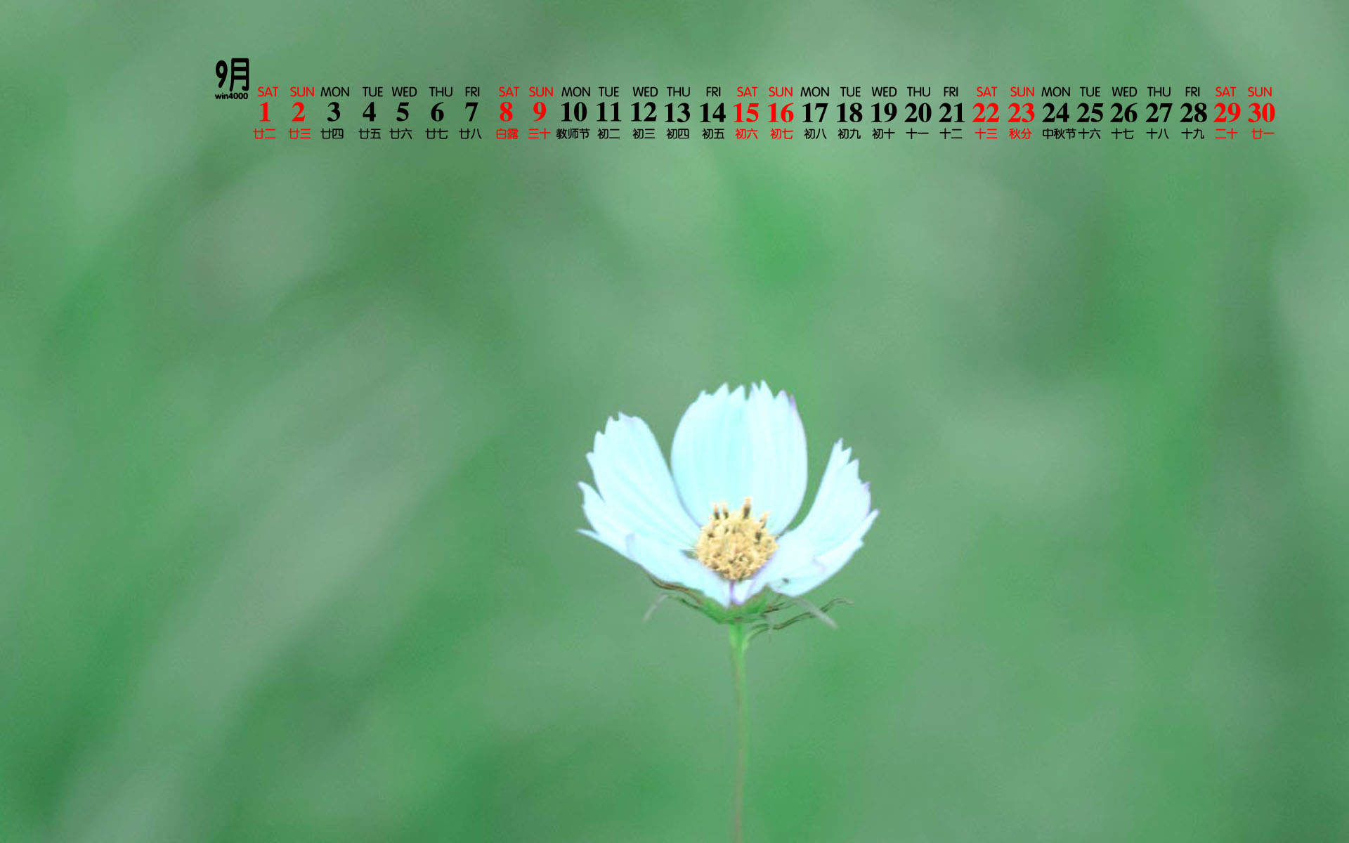 绿色图片图片