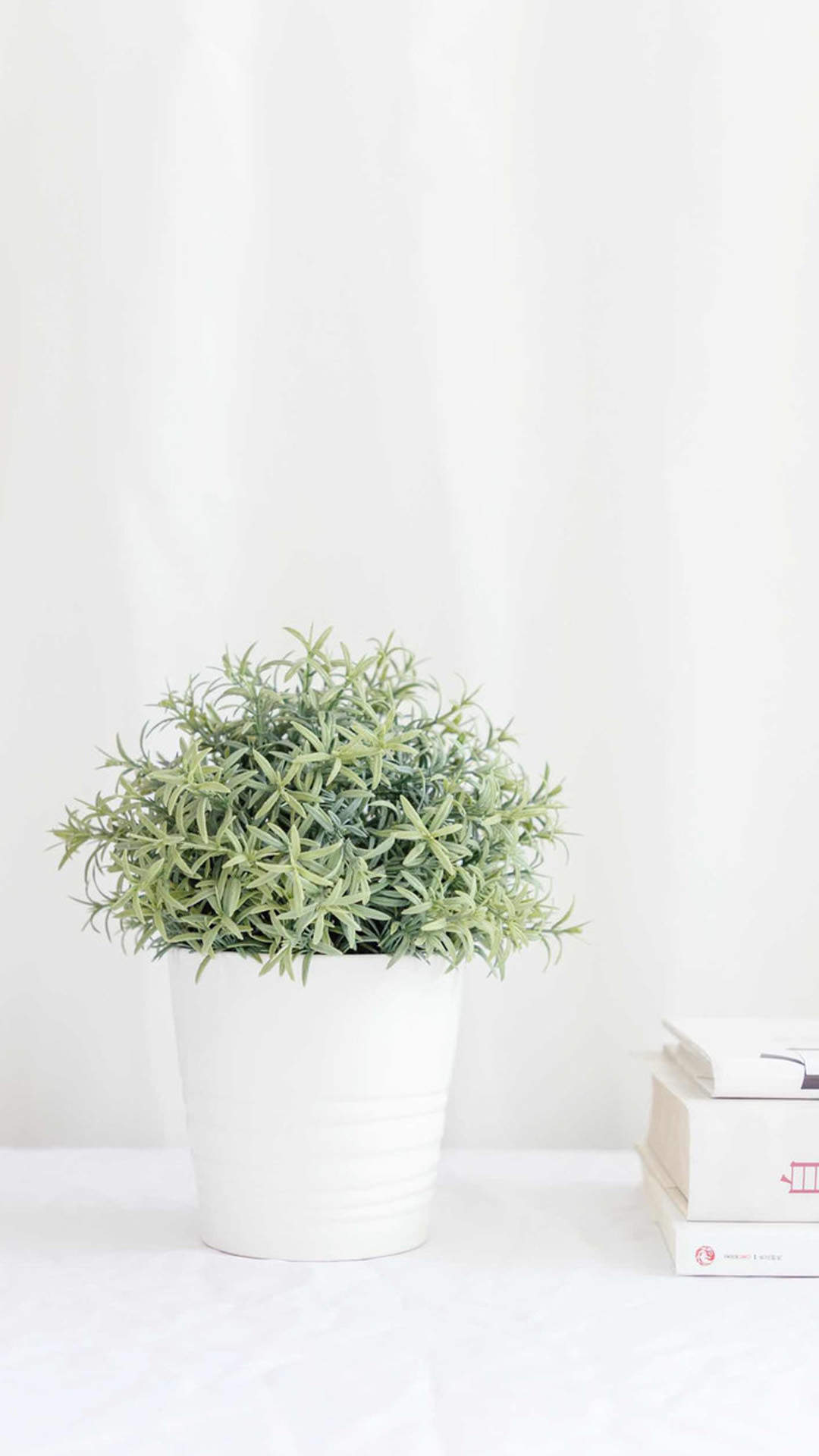 绿色植物图片