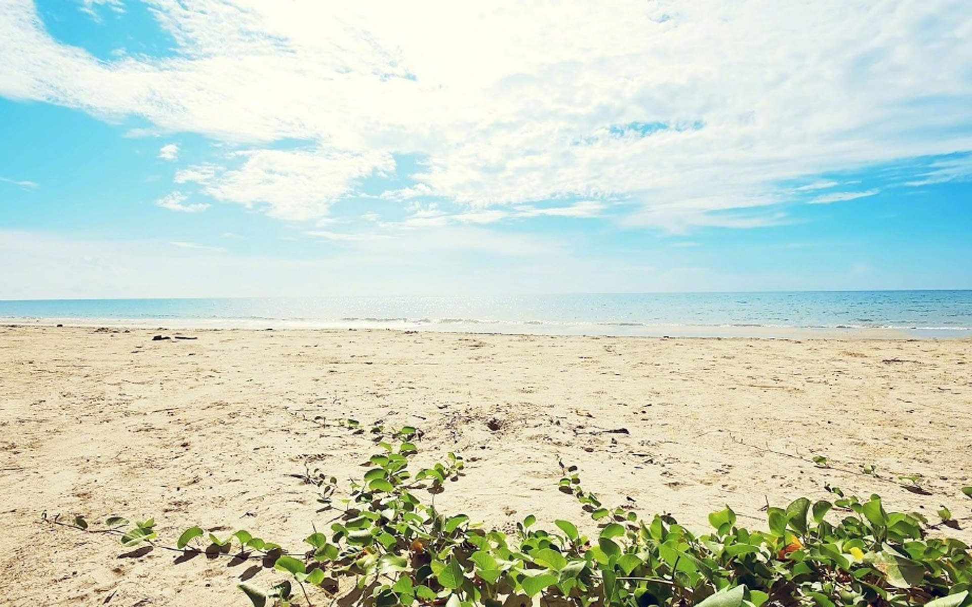 唯美海边风景图片手机壁纸图片