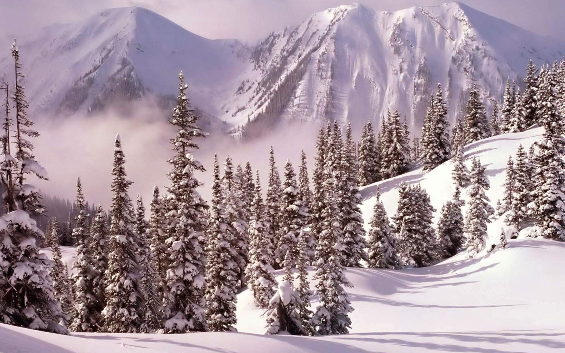 雪景图片