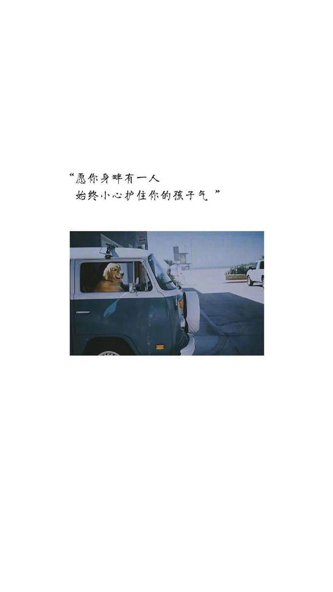 我想和你好好的公映 冯绍峰倪妮演绎浪漫爱情图片