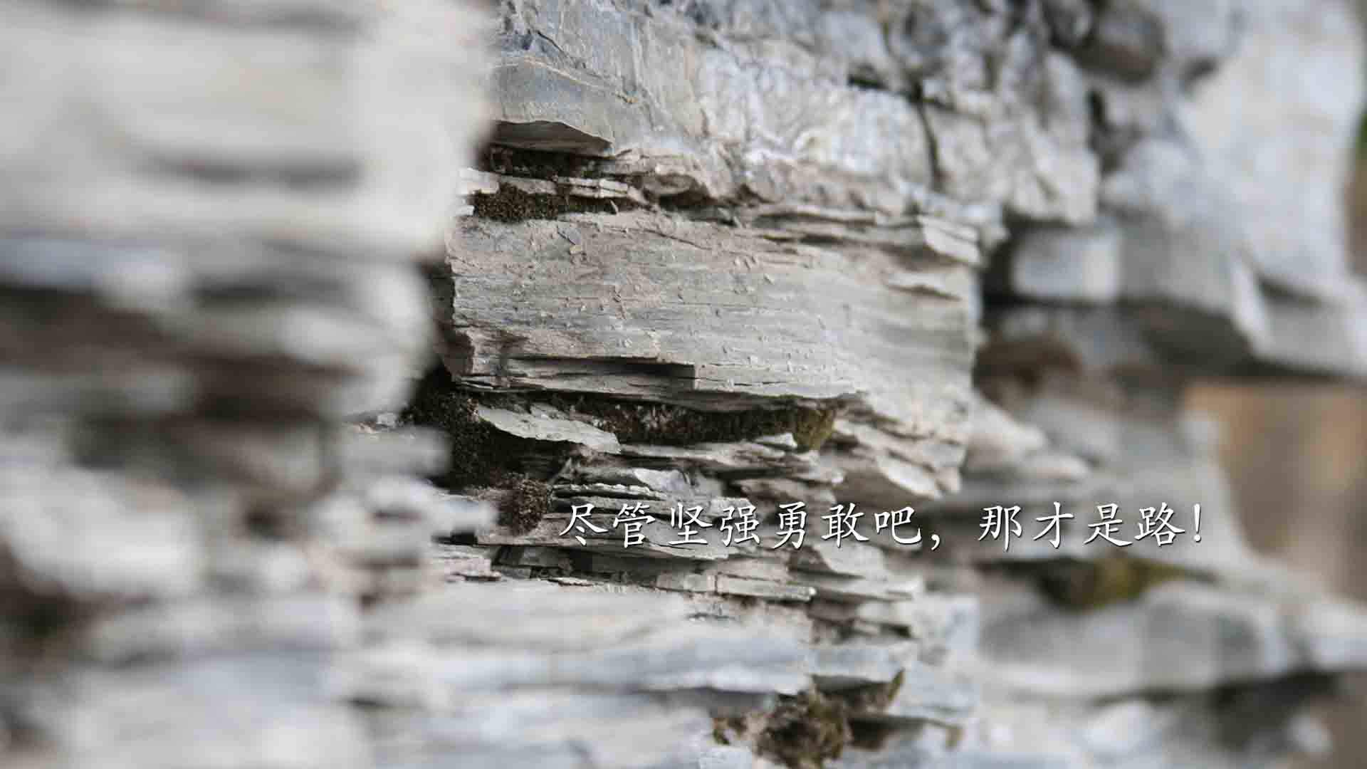创意红色励志文字高清手机壁纸图片