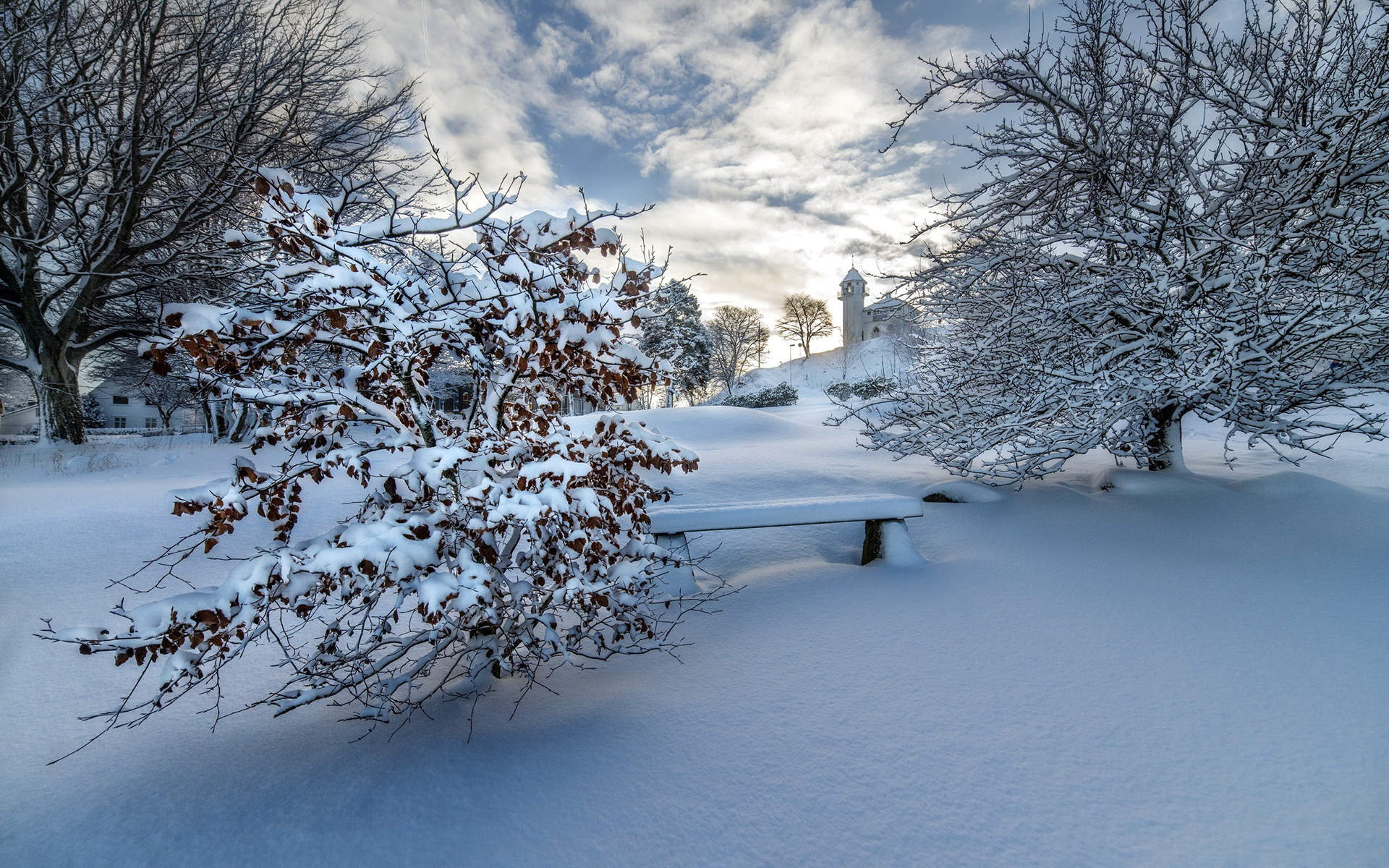 冬天雪景唯美手机壁纸图片图片