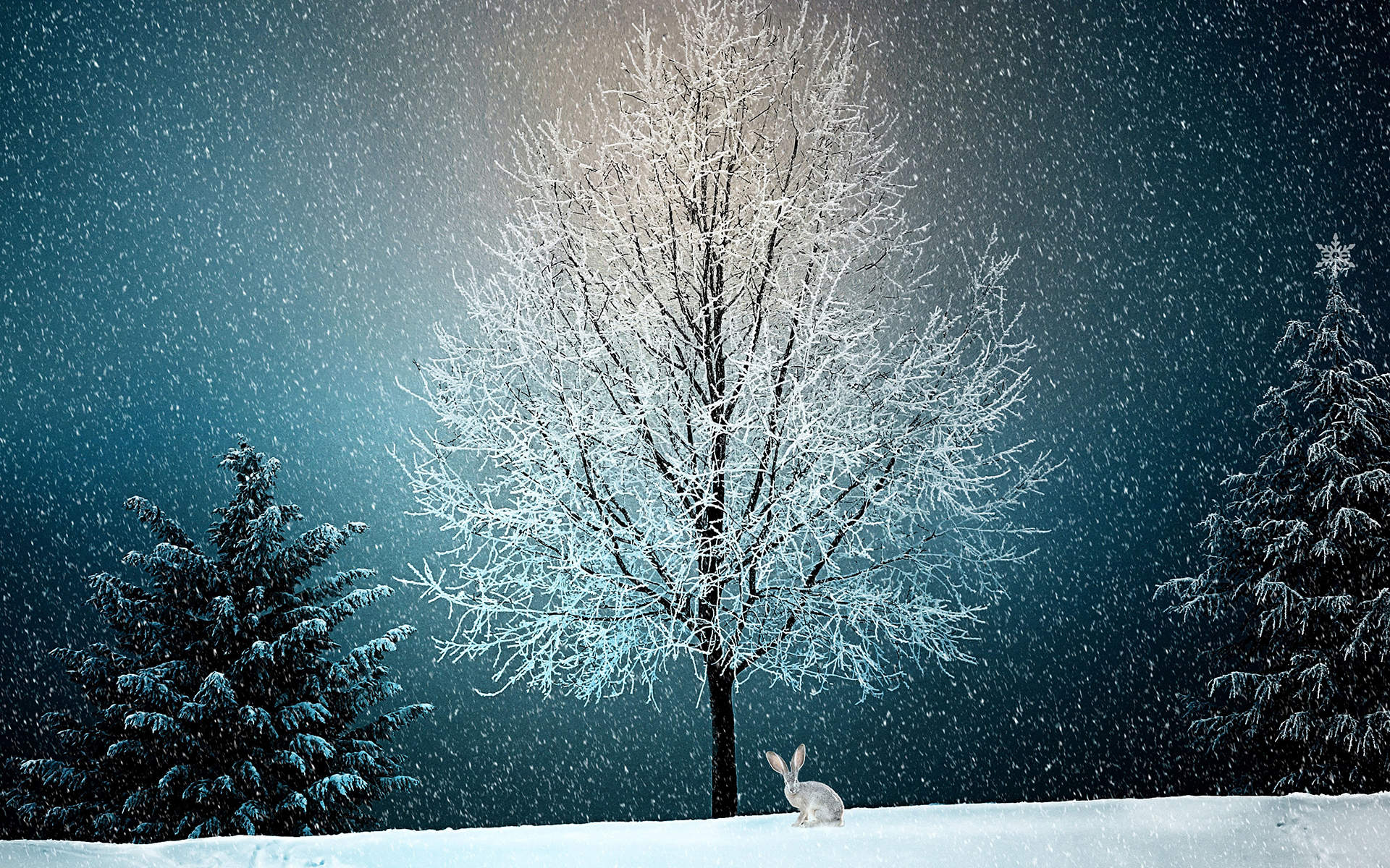 冬天雪景唯美手机壁纸图片图片