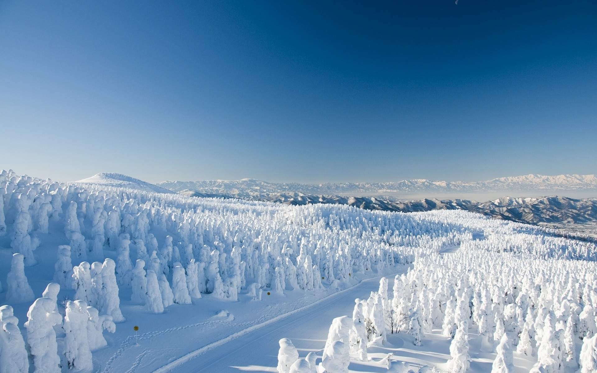 冬天雪景唯美手机壁纸图片图片
