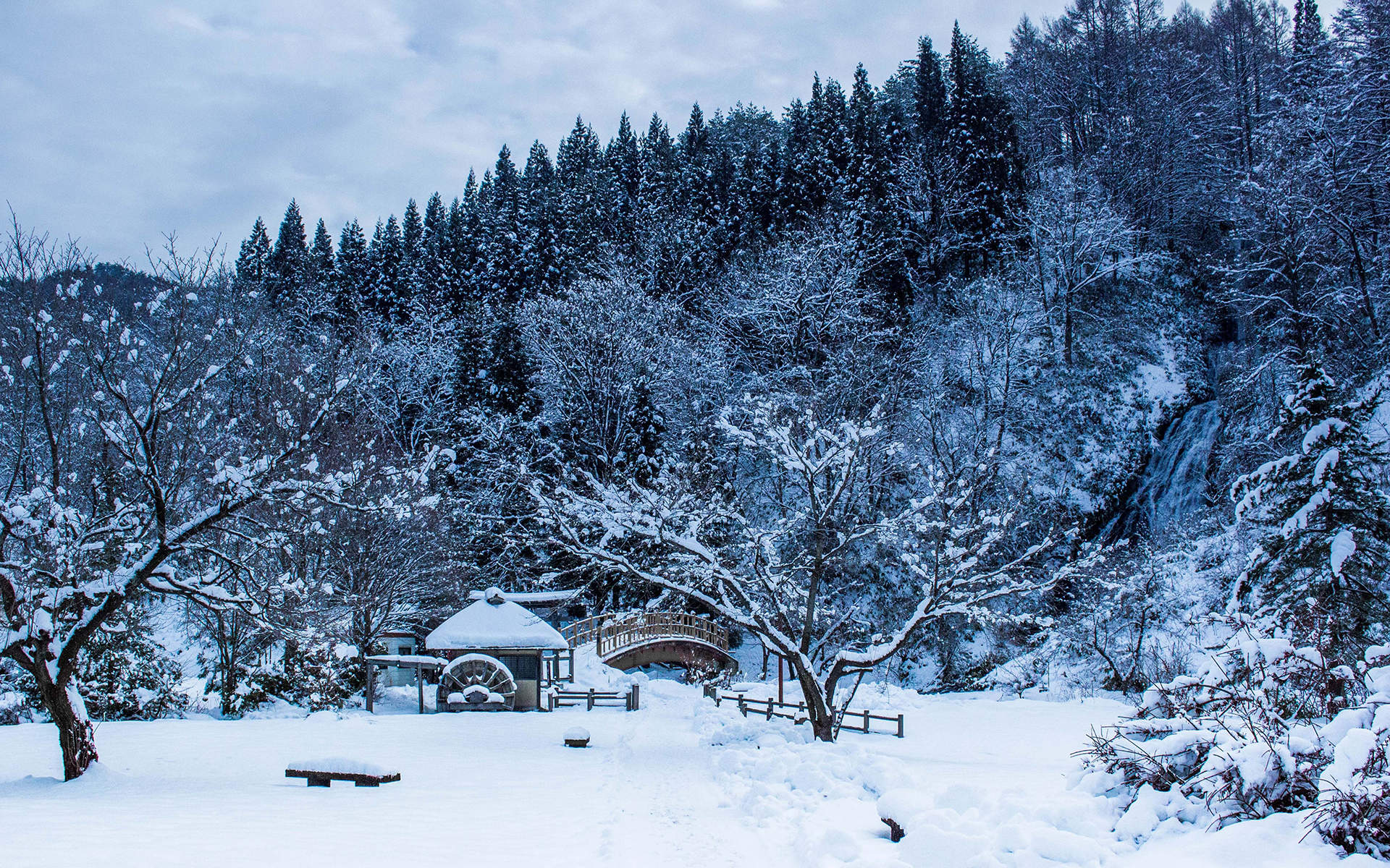 冬天雪景唯美手机壁纸图片图片