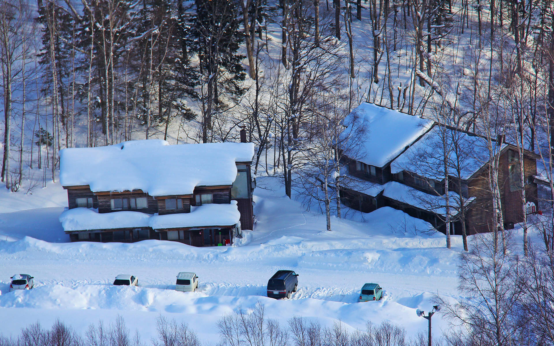 冬天雪景唯美手机壁纸图片图片