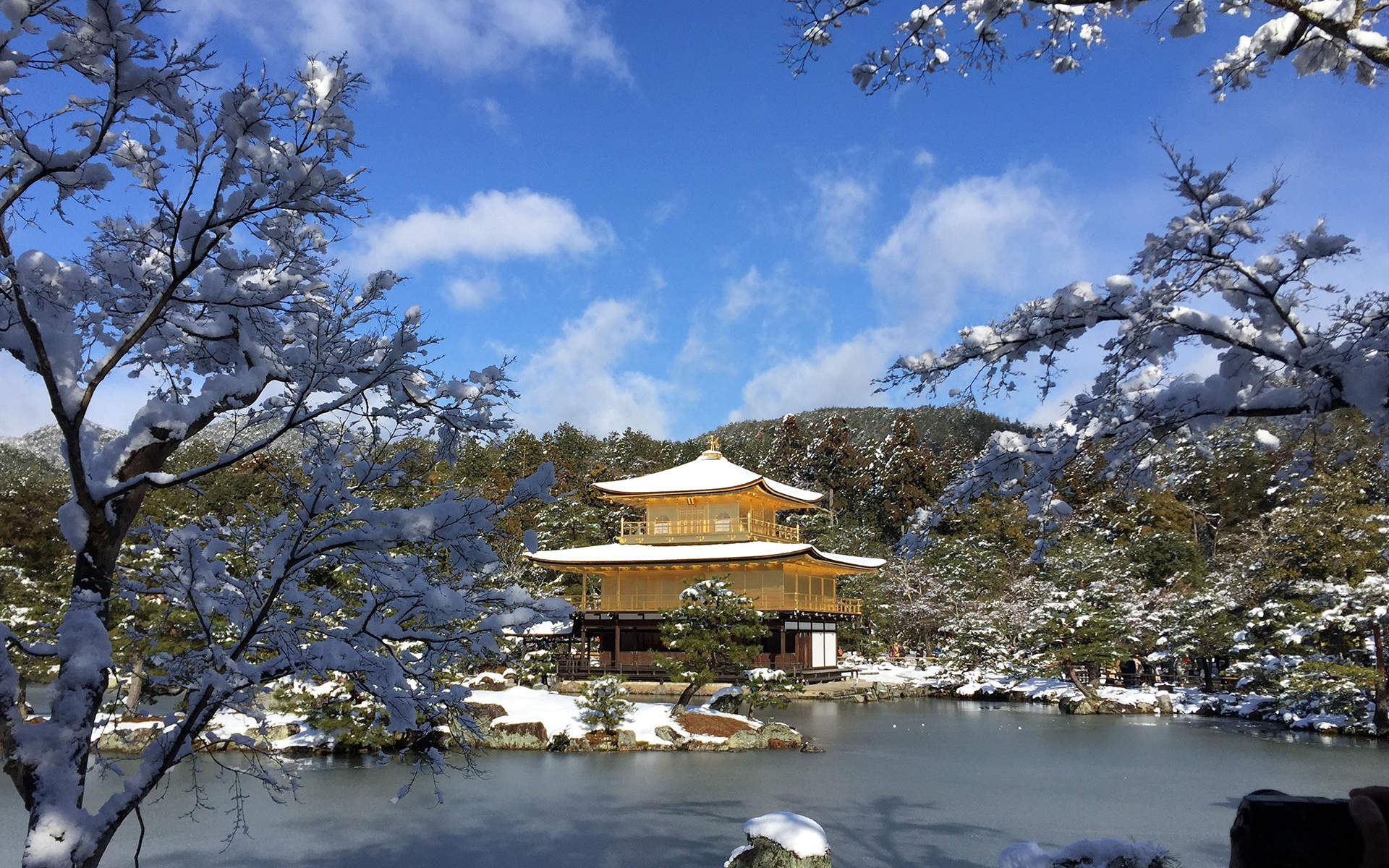 清新唯美雪景图片手机壁纸图片