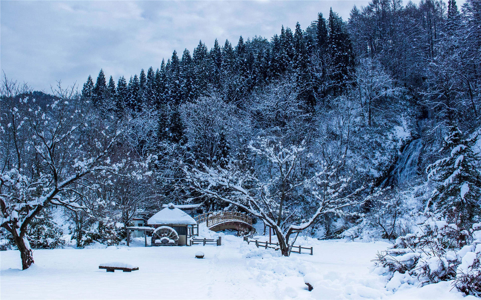 冬天雪景唯美手机壁纸图片图片