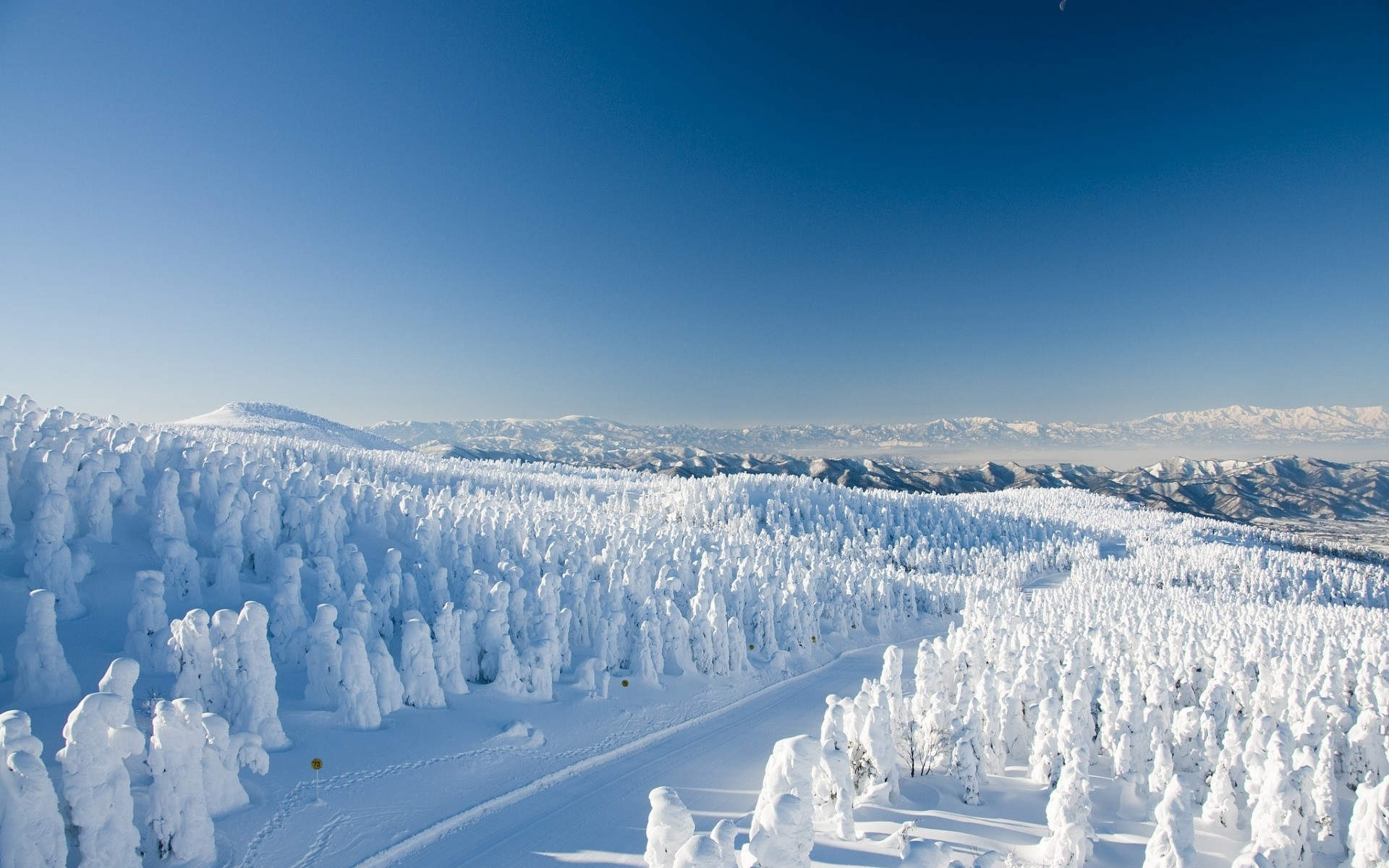 冬天雪景唯美手机壁纸图片图片