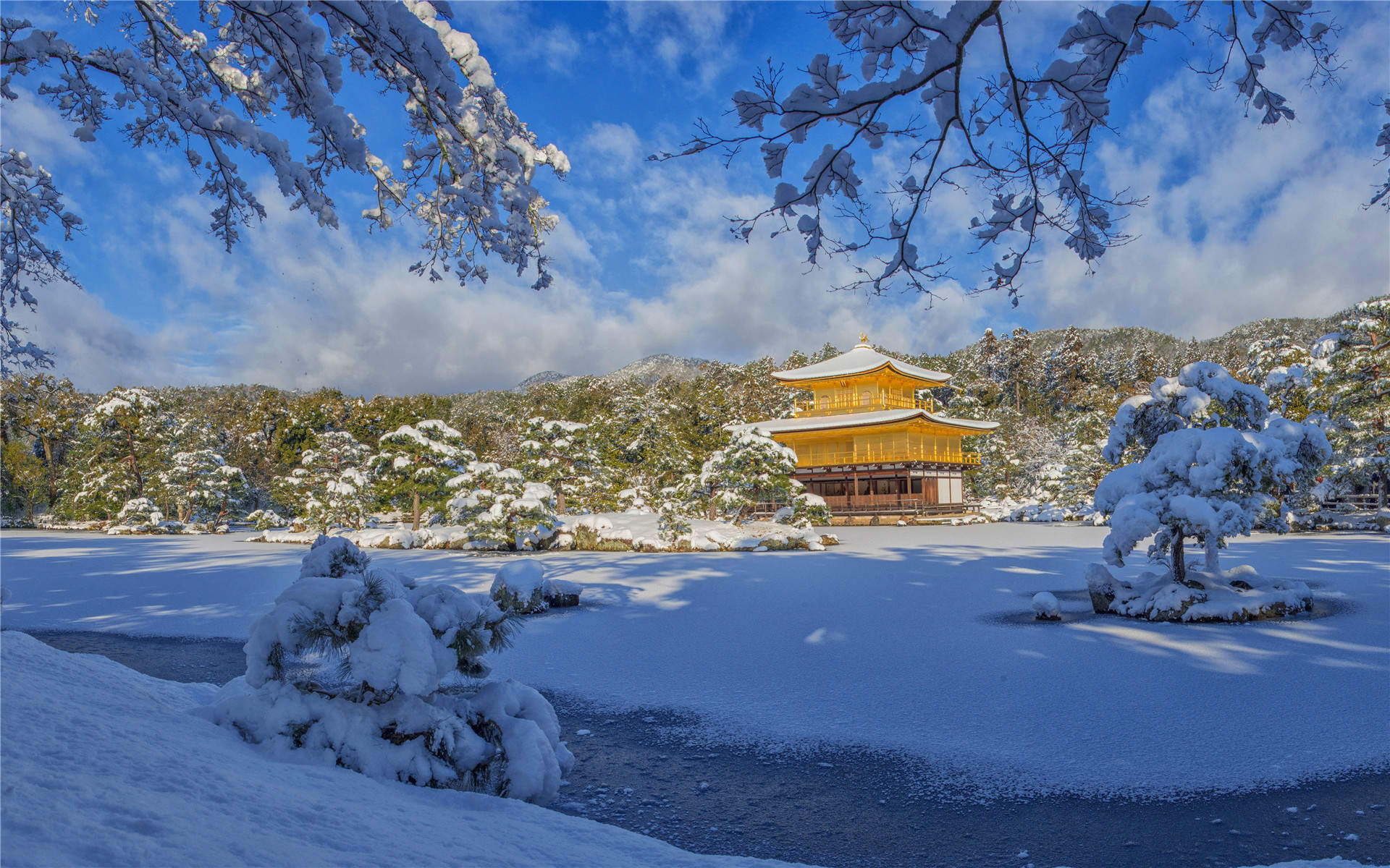 冬天雪景唯美手机壁纸图片图片