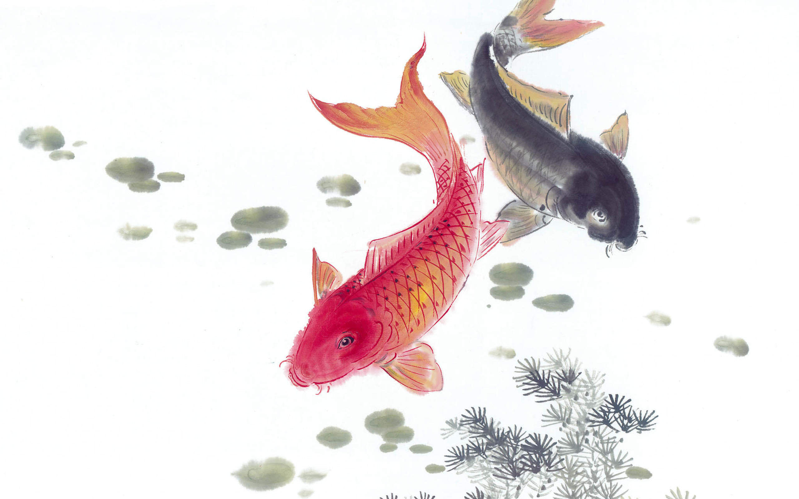 锦鲤插画高清桌面壁纸图片图片
