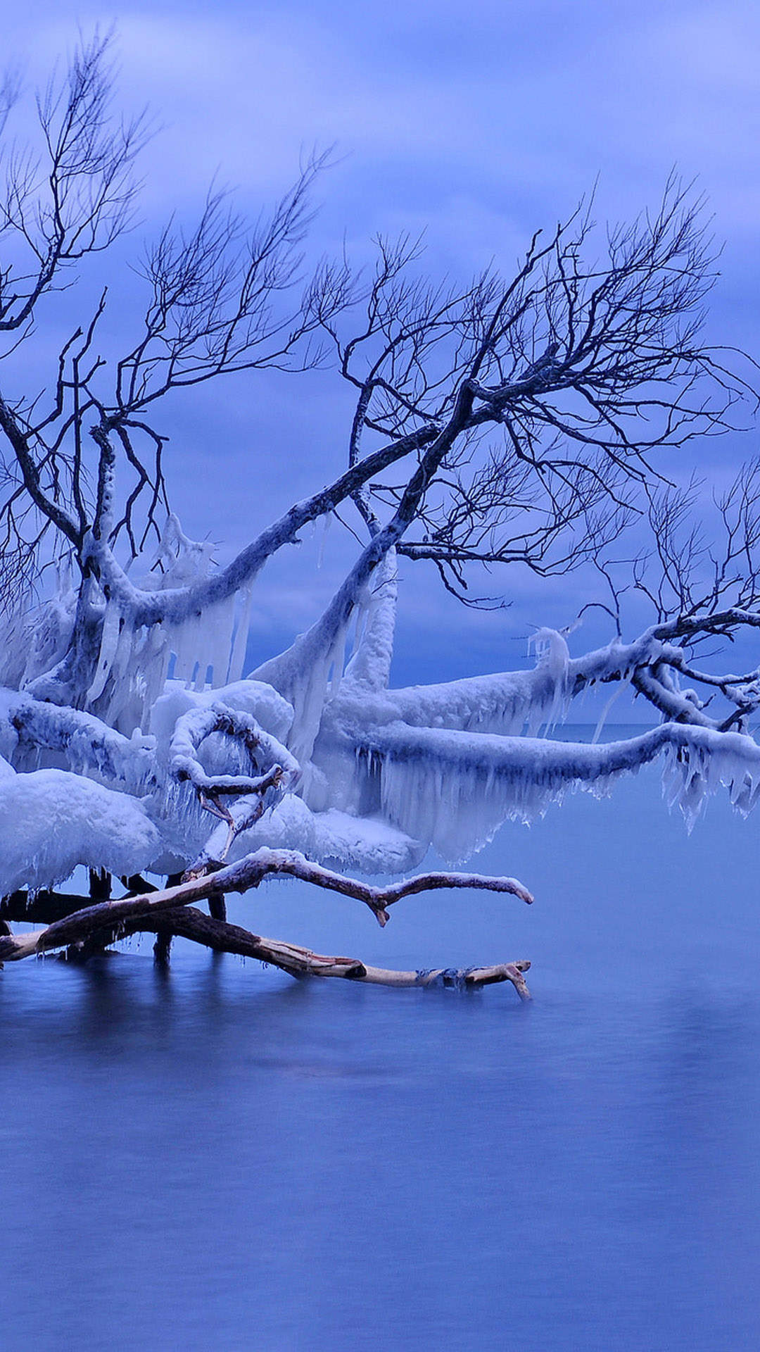 冬天雪景唯美手机壁纸图片图片
