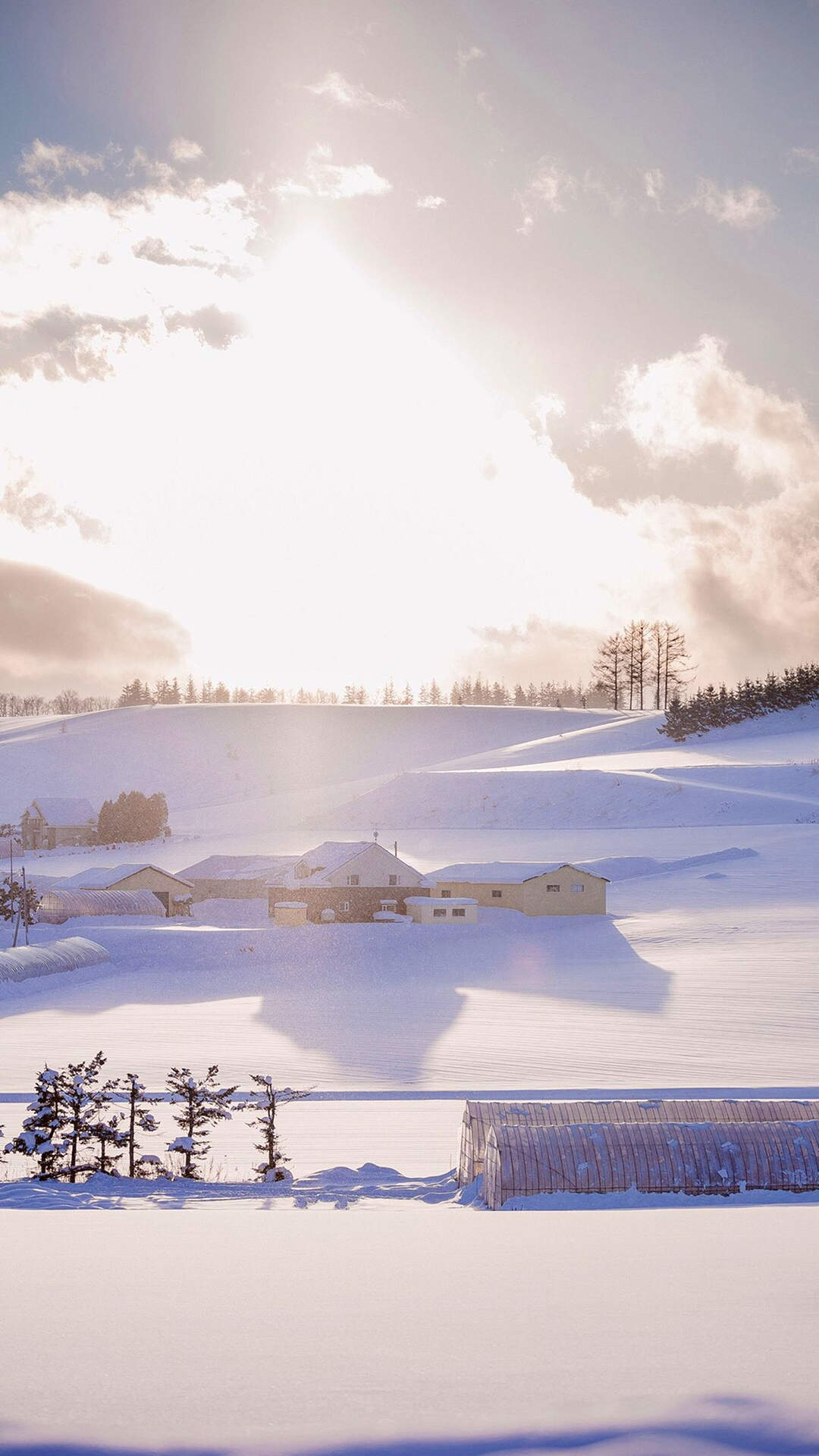 2019年2月黄山唯美雪景图片日历壁纸图片