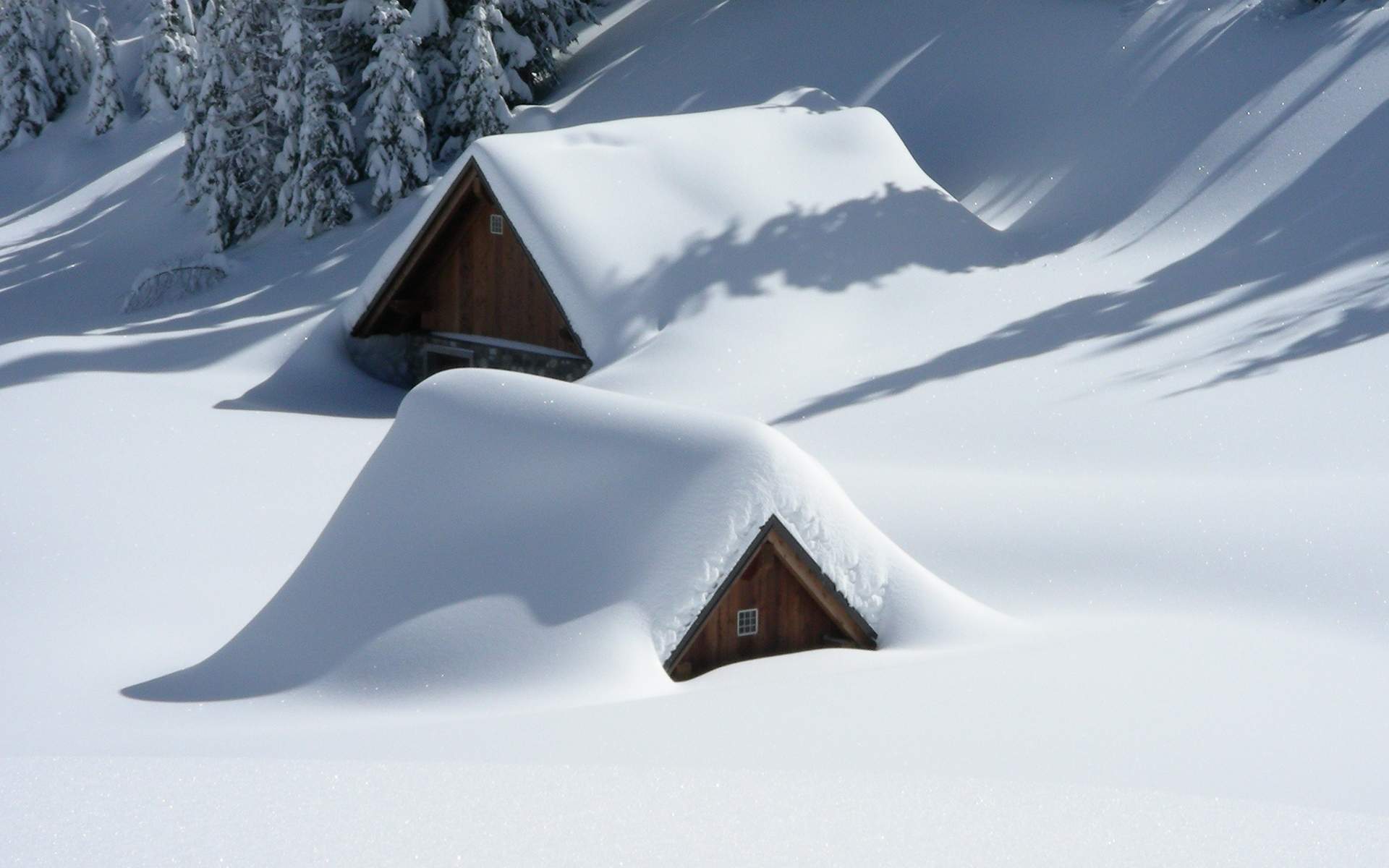 白茫茫雪景图片高清桌面壁纸图片