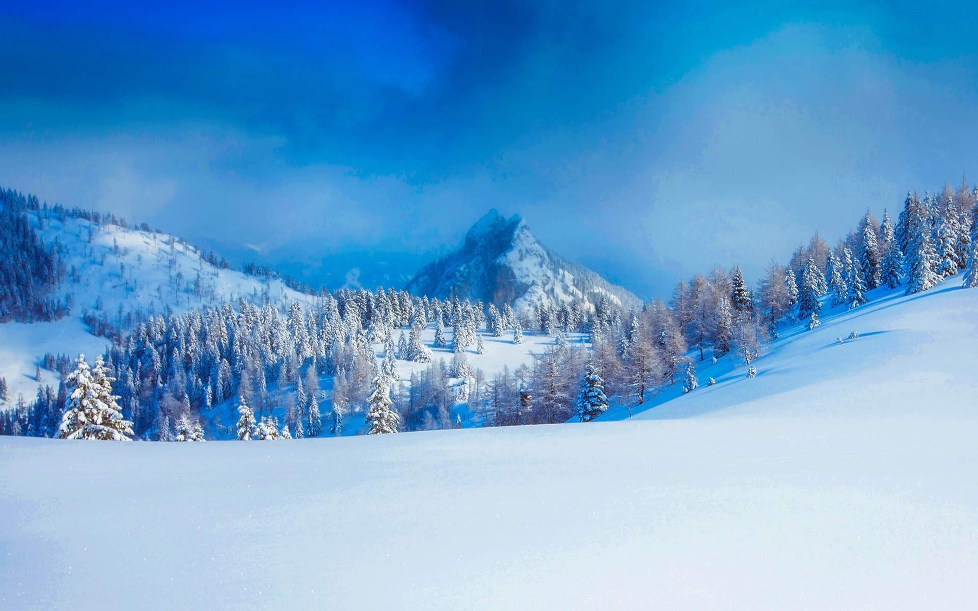 清新唯美雪景图手机壁纸图片