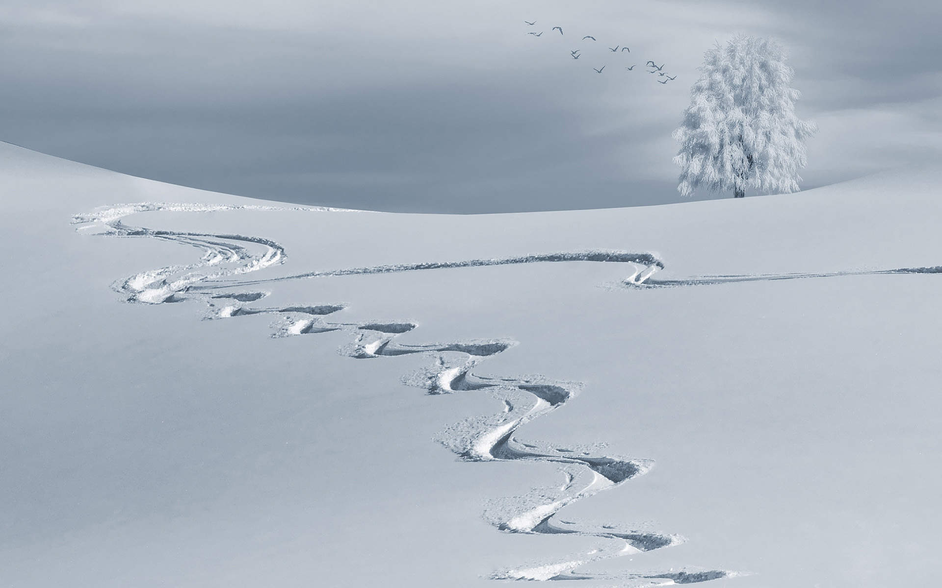 雪景图片