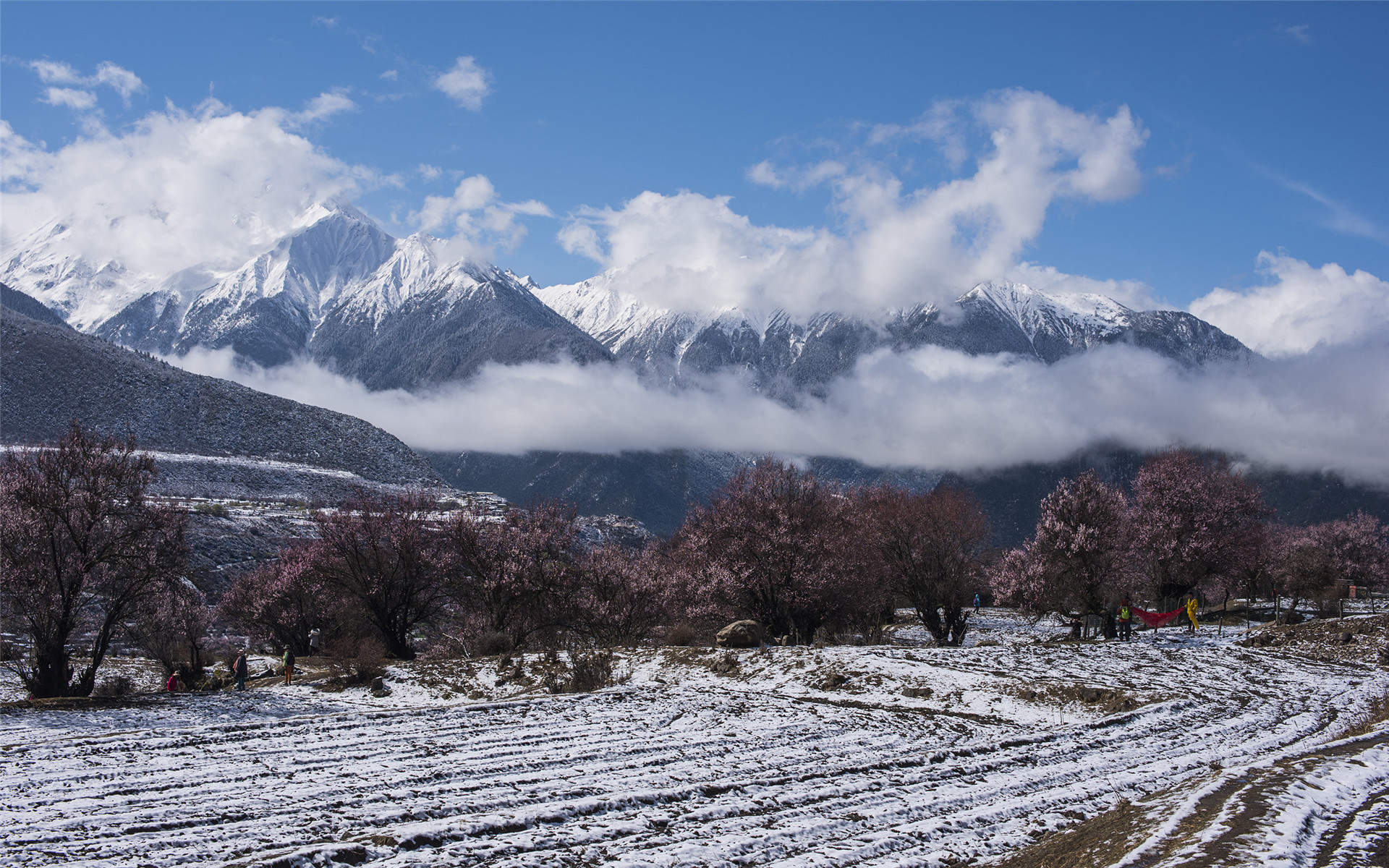 清新唯美雪景图手机壁纸图片