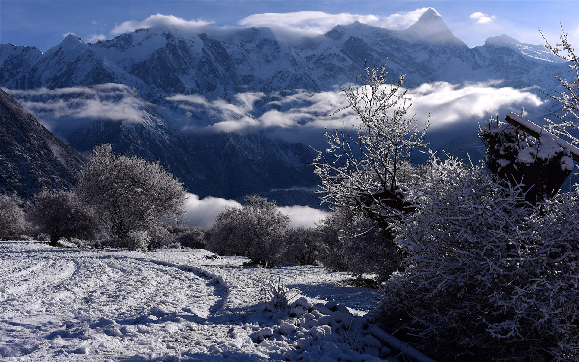 雪景图片