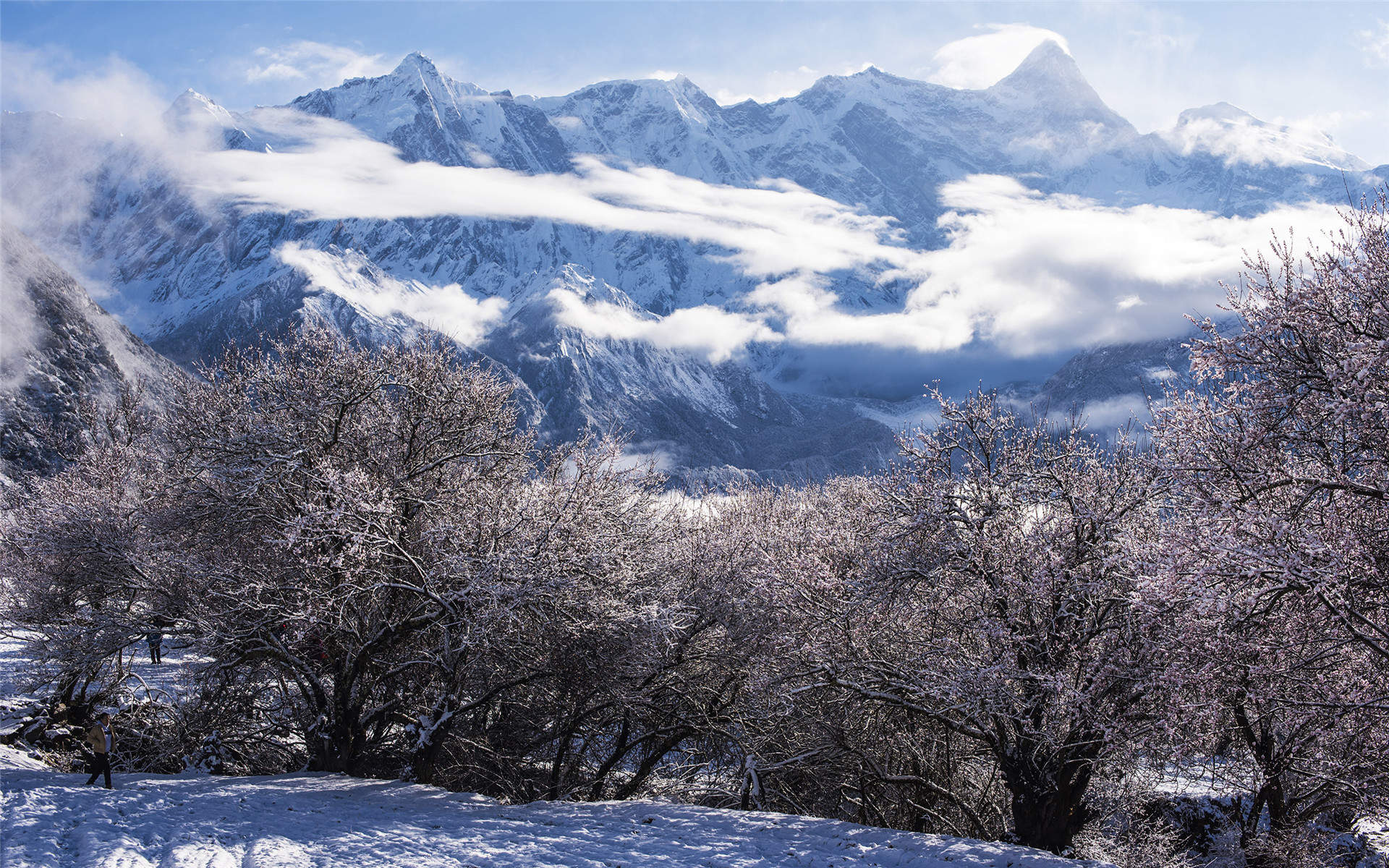 雪景图片