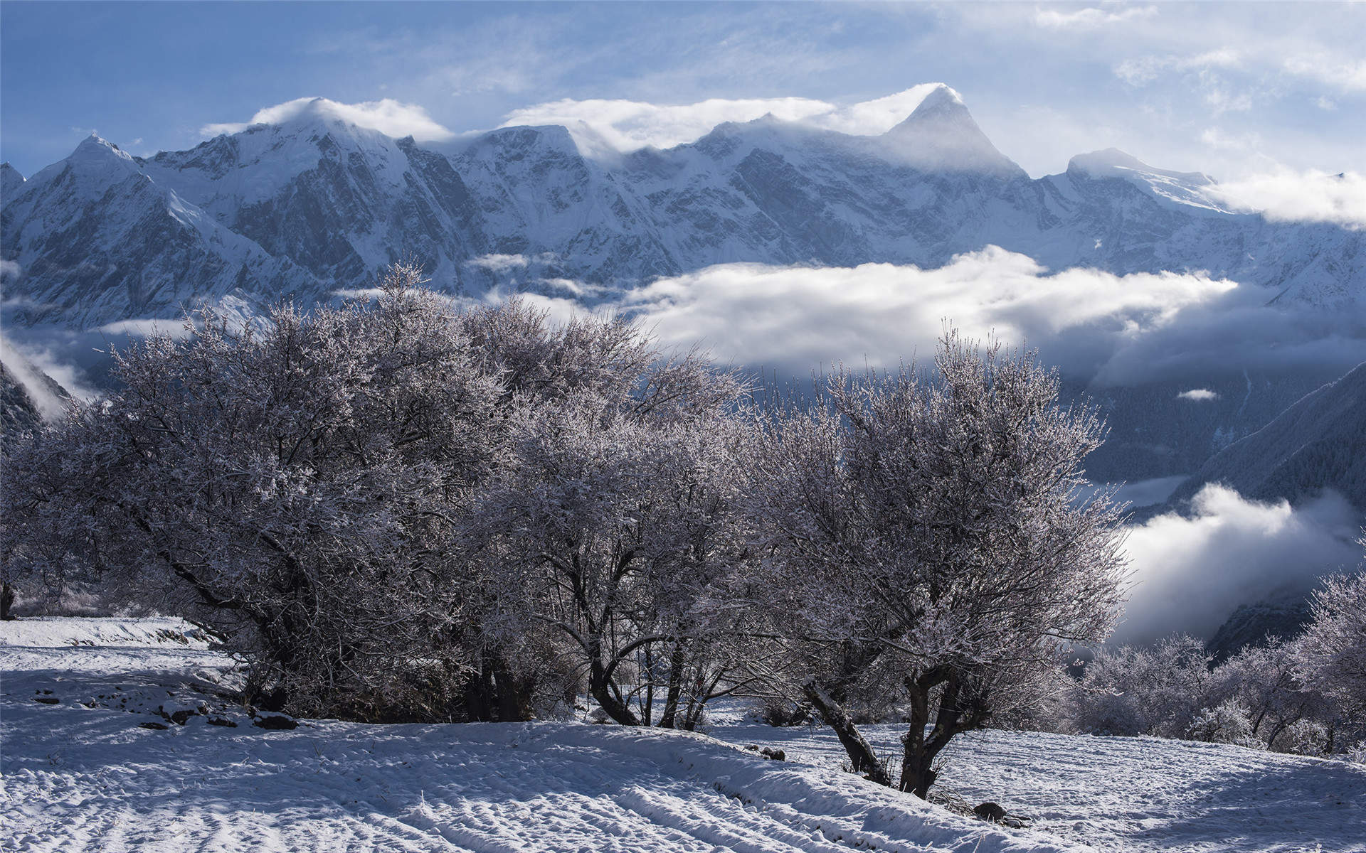 雪景图片
