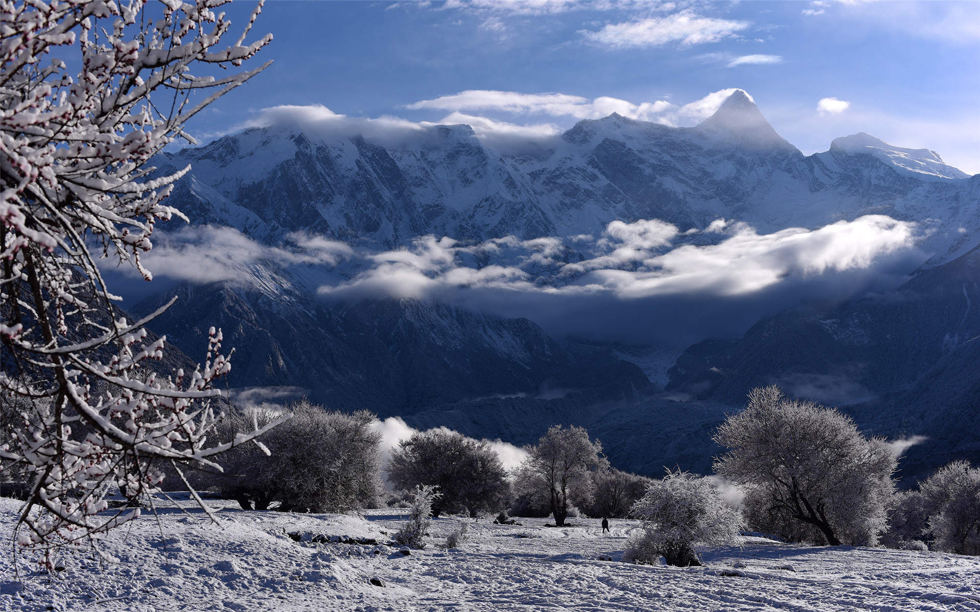 雪景图片