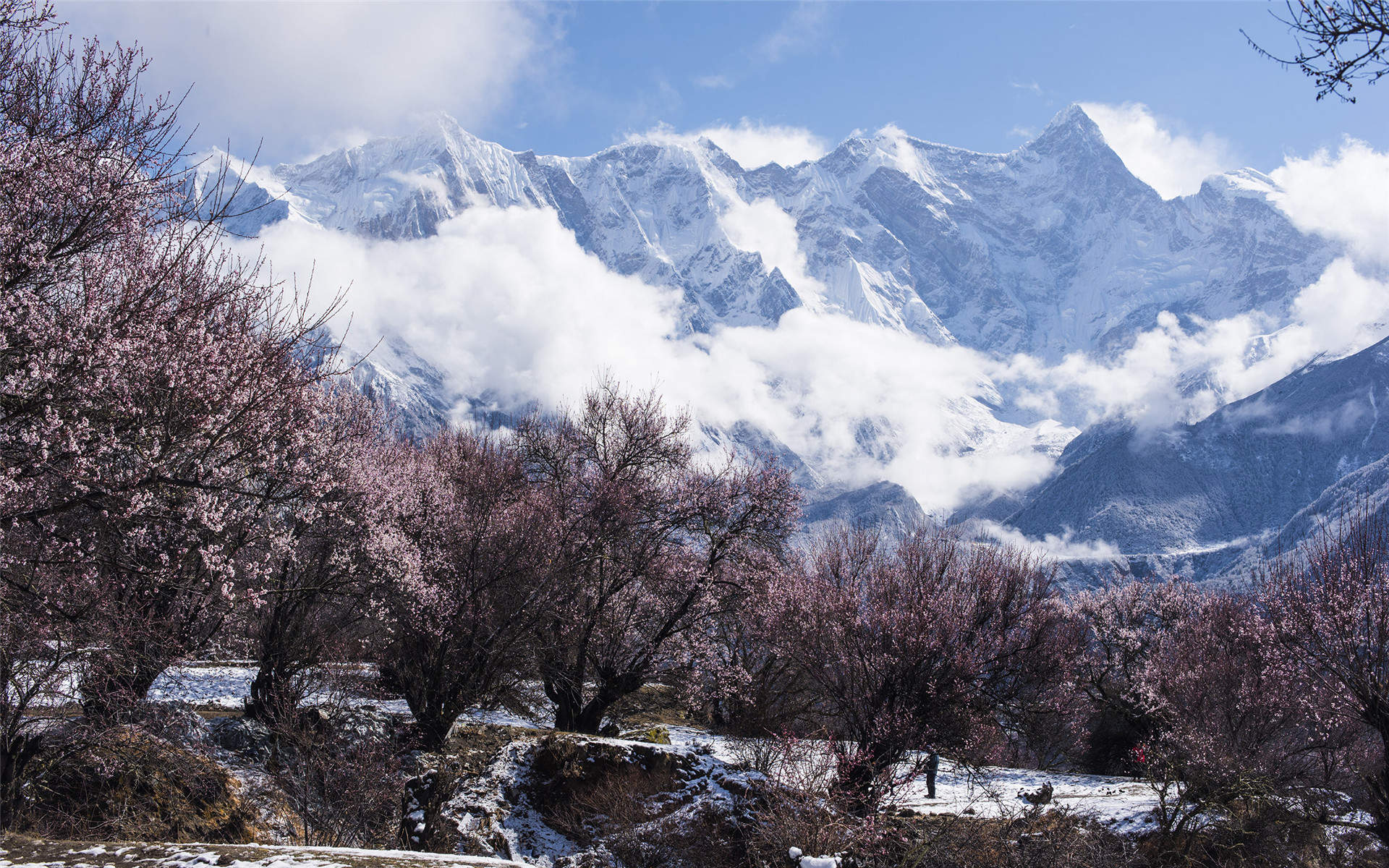 雪景图片