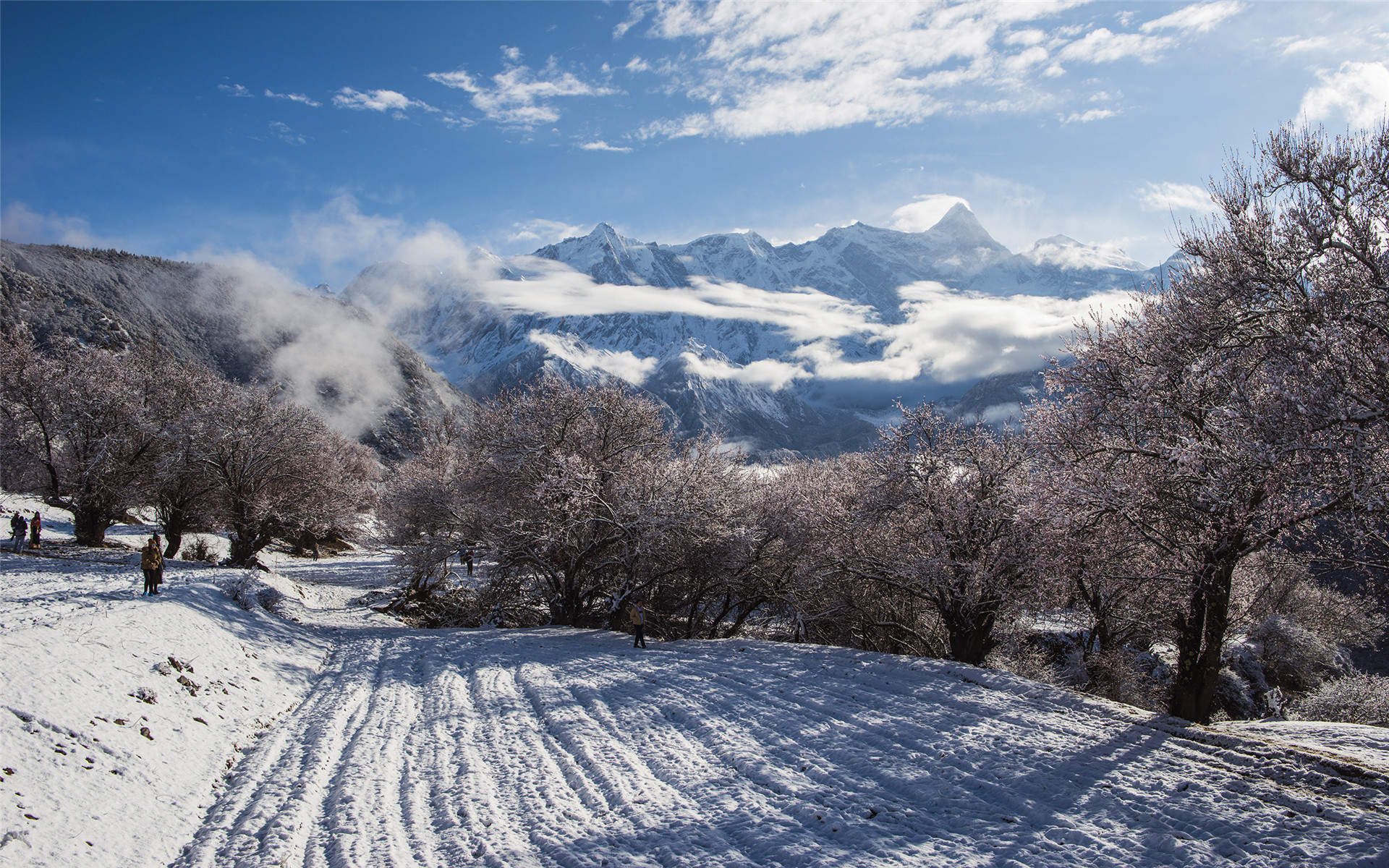 2019年12月十二月唯美雪景高清日历壁纸图片