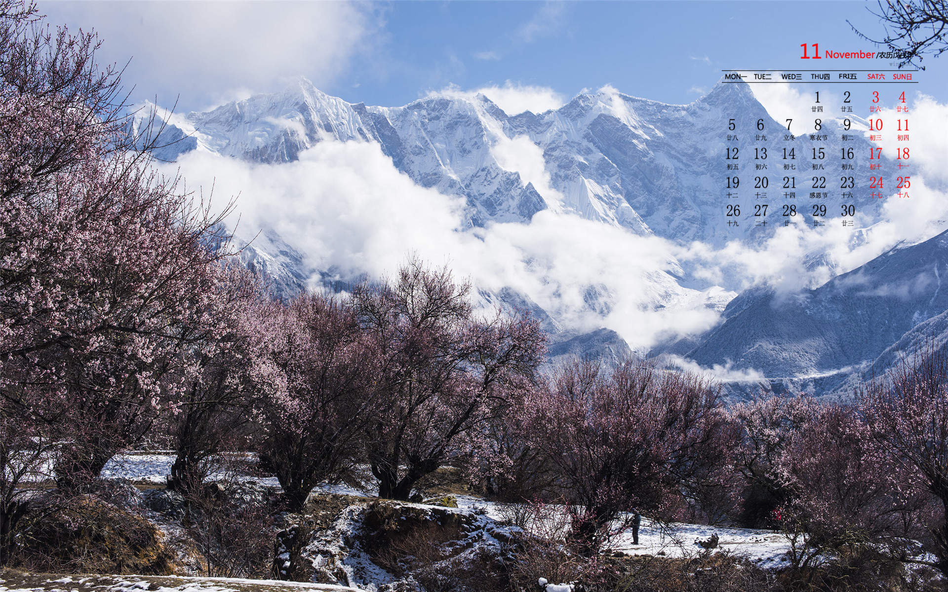 清新唯美雪景图手机壁纸图片