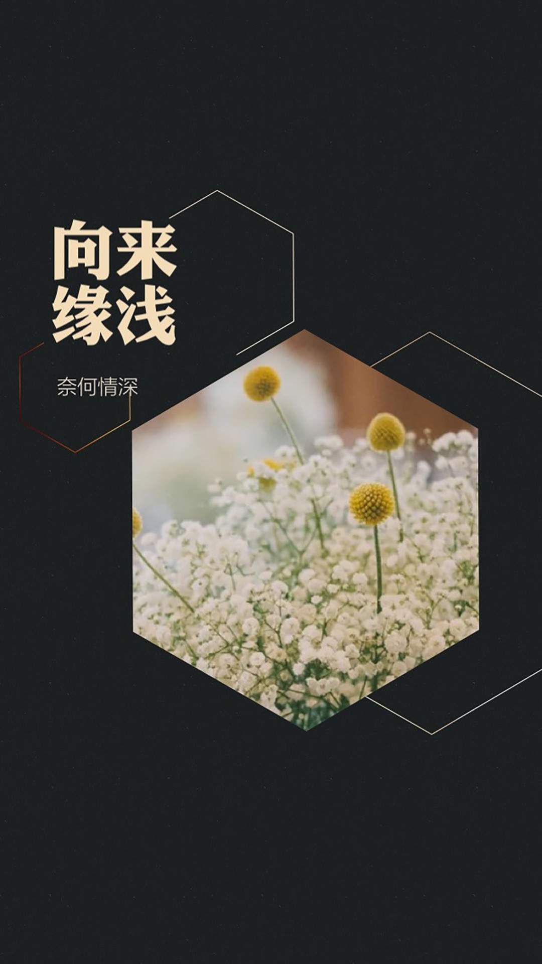 手绘创意家居设计简约清新安卓手机壁纸图片