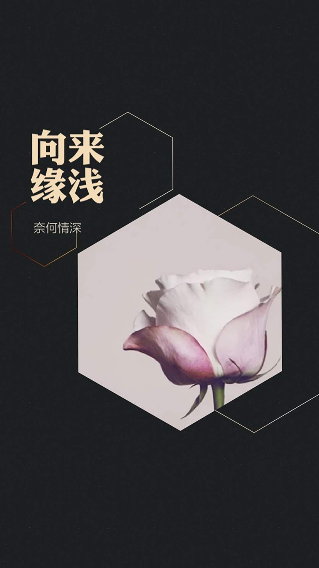悲伤文字语录图片高清手机壁纸图片