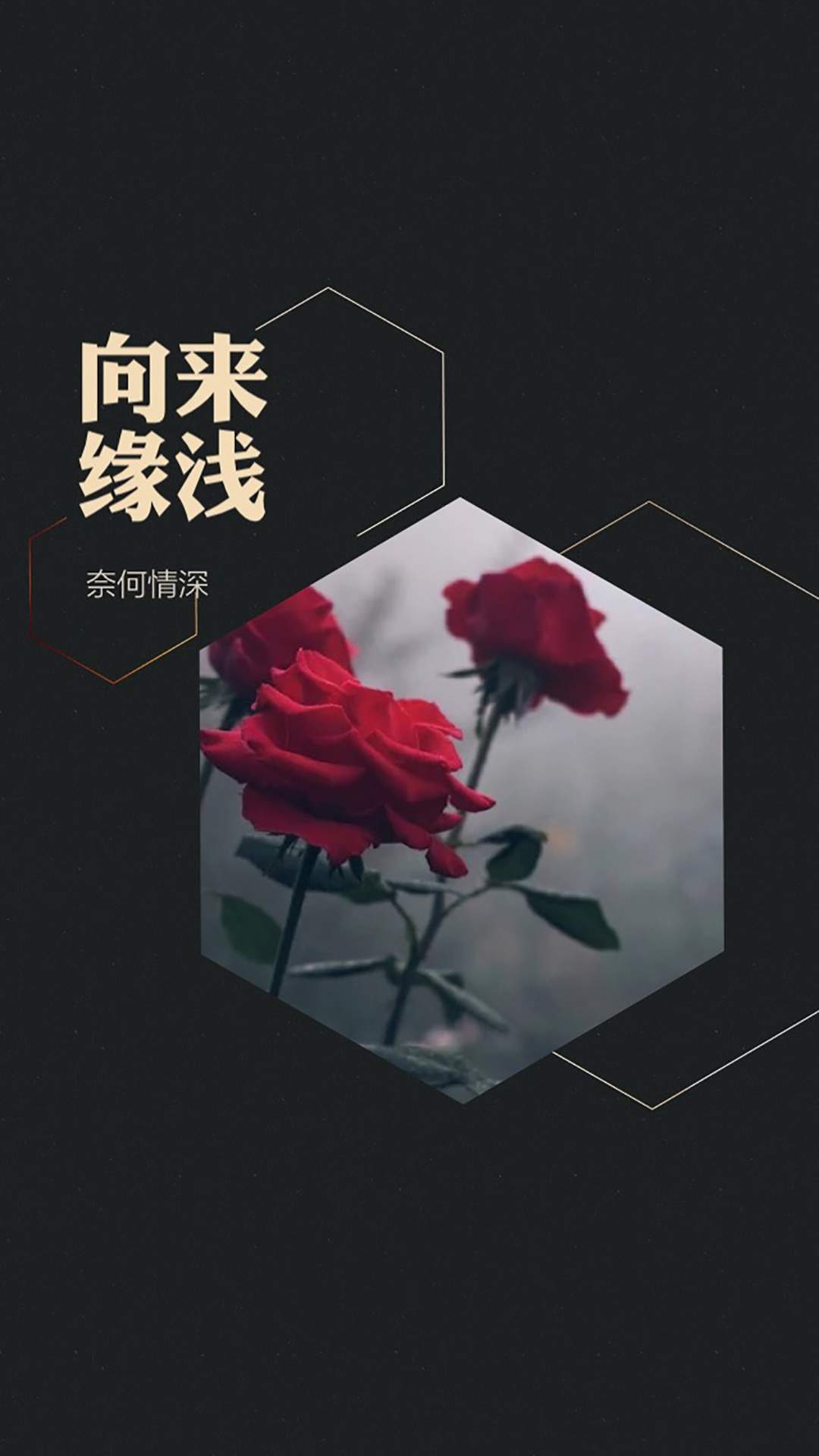 高清五颜六色多彩糖果高清手机壁纸320*480图片