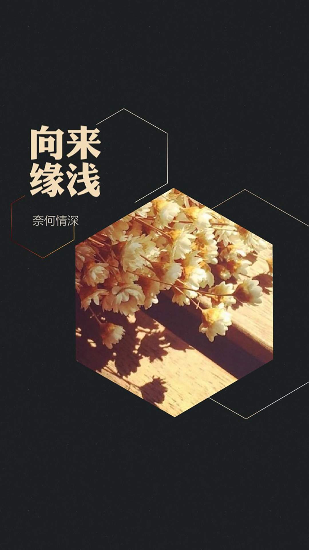 悲伤文字语录图片高清手机壁纸图片