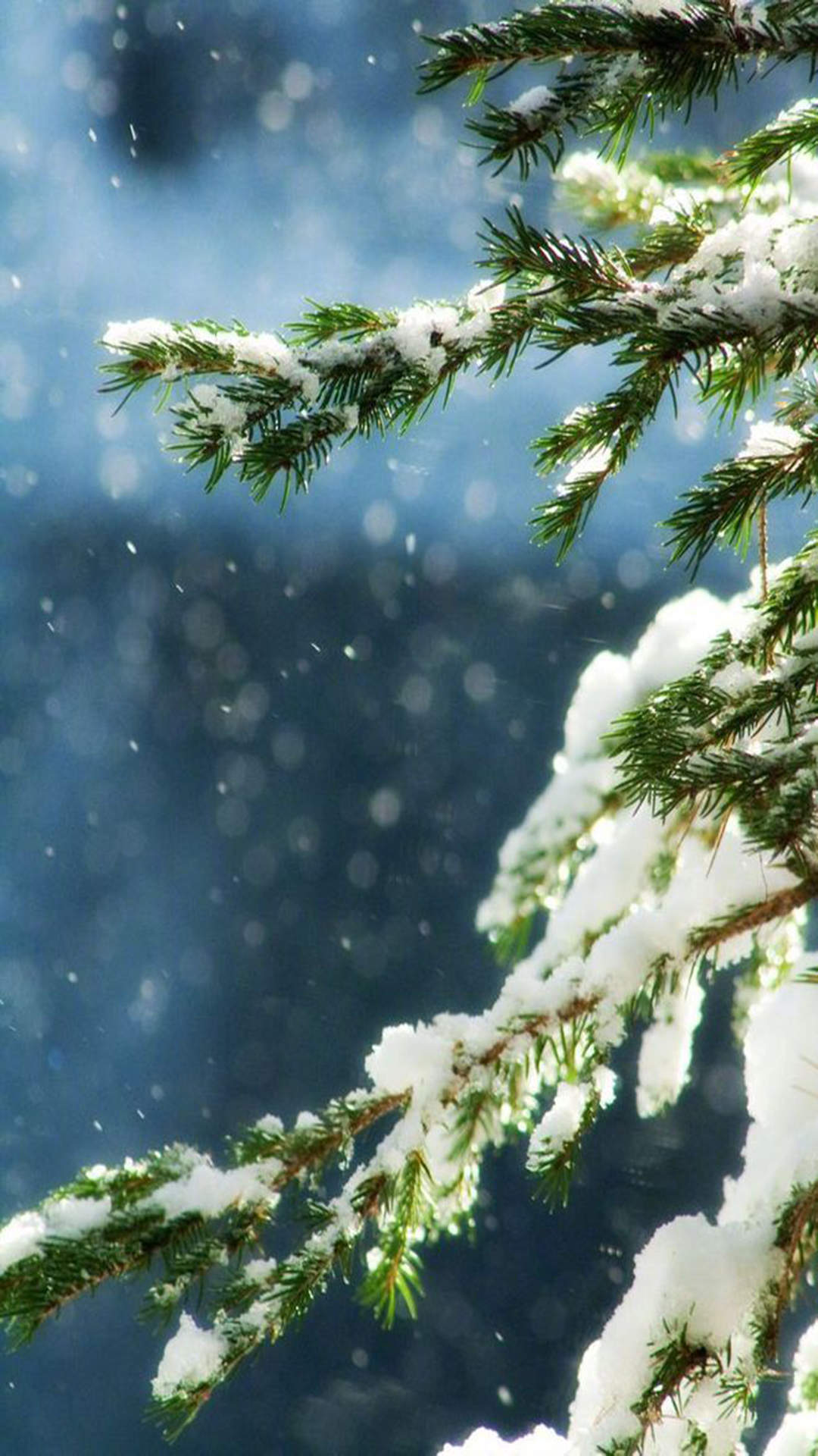 唯美动人雪景高清图片手机壁纸图片