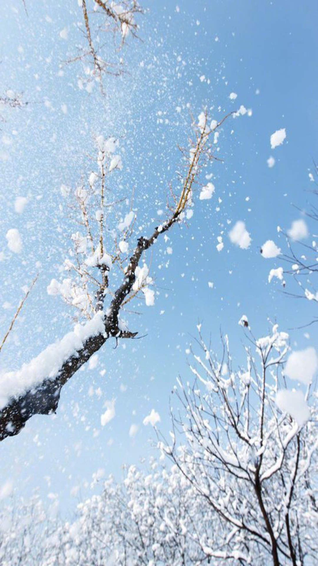 唯美动人雪景高清图片手机壁纸图片