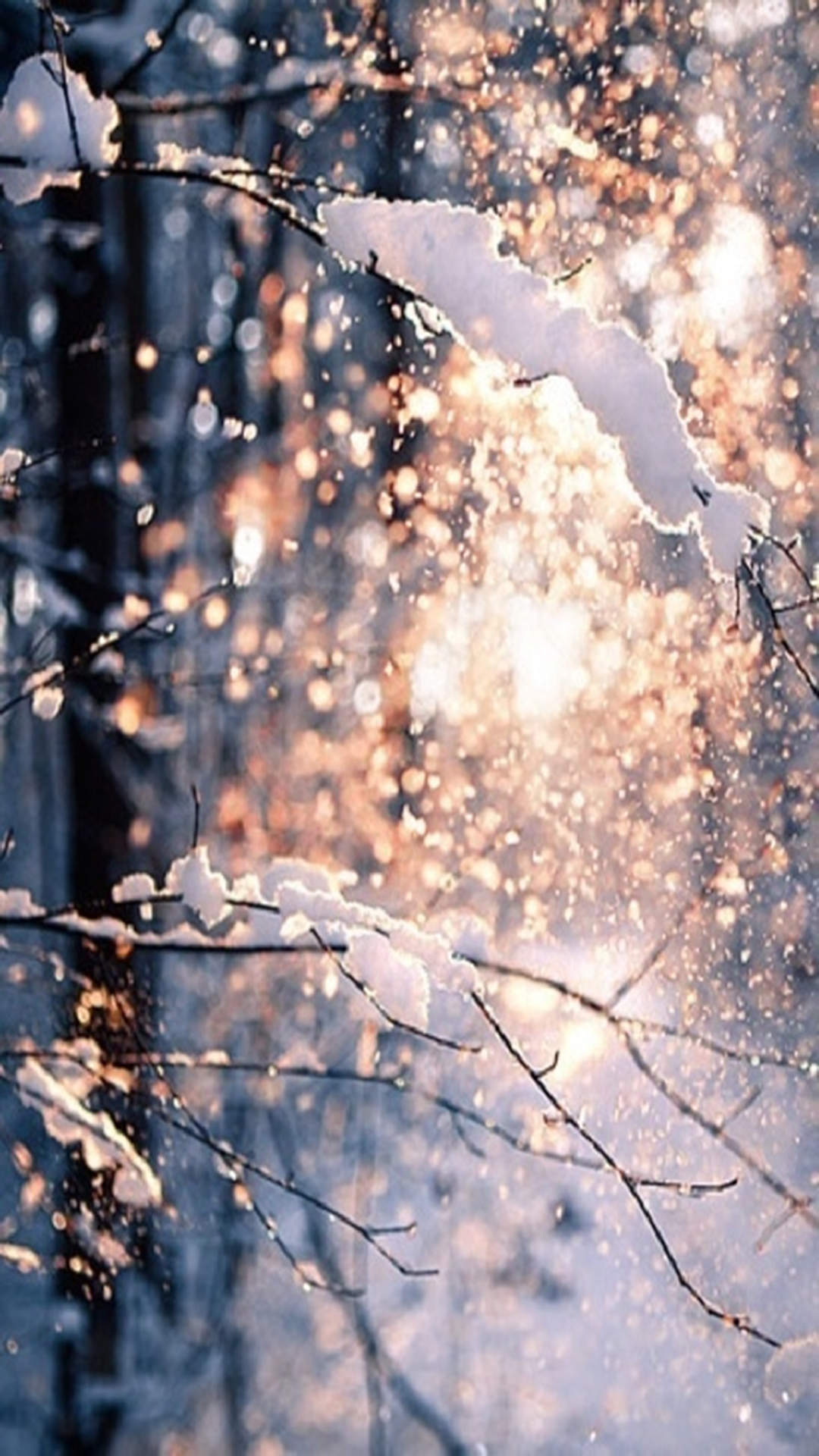 雪景图片
