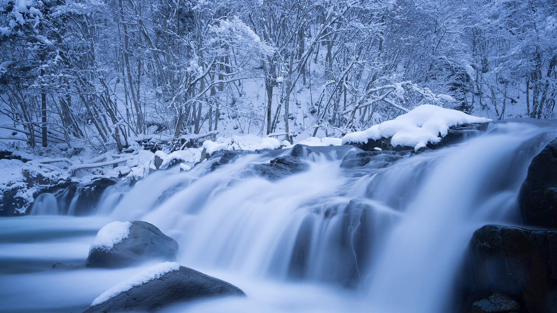 清新唯美雪景图手机壁纸图片