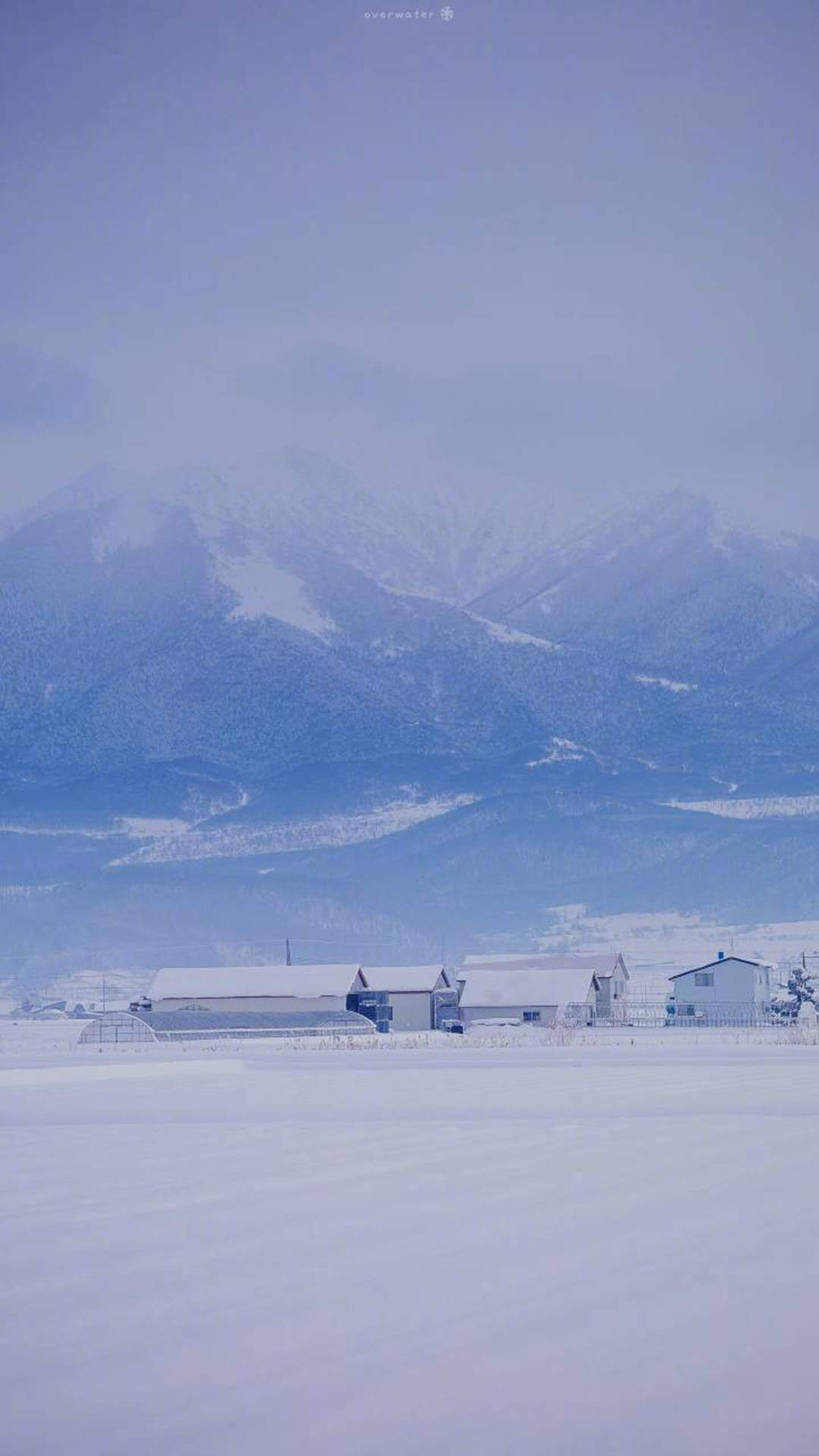 清新淡雅雪景图片手机壁纸图片