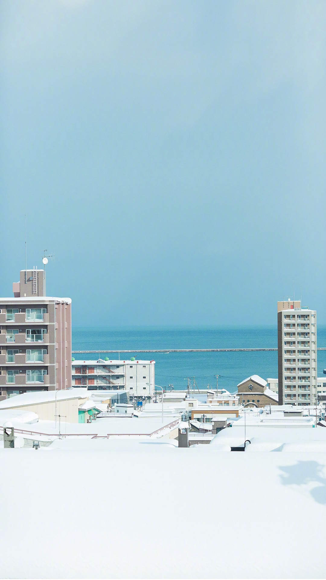 清新淡雅雪景图片手机壁纸图片