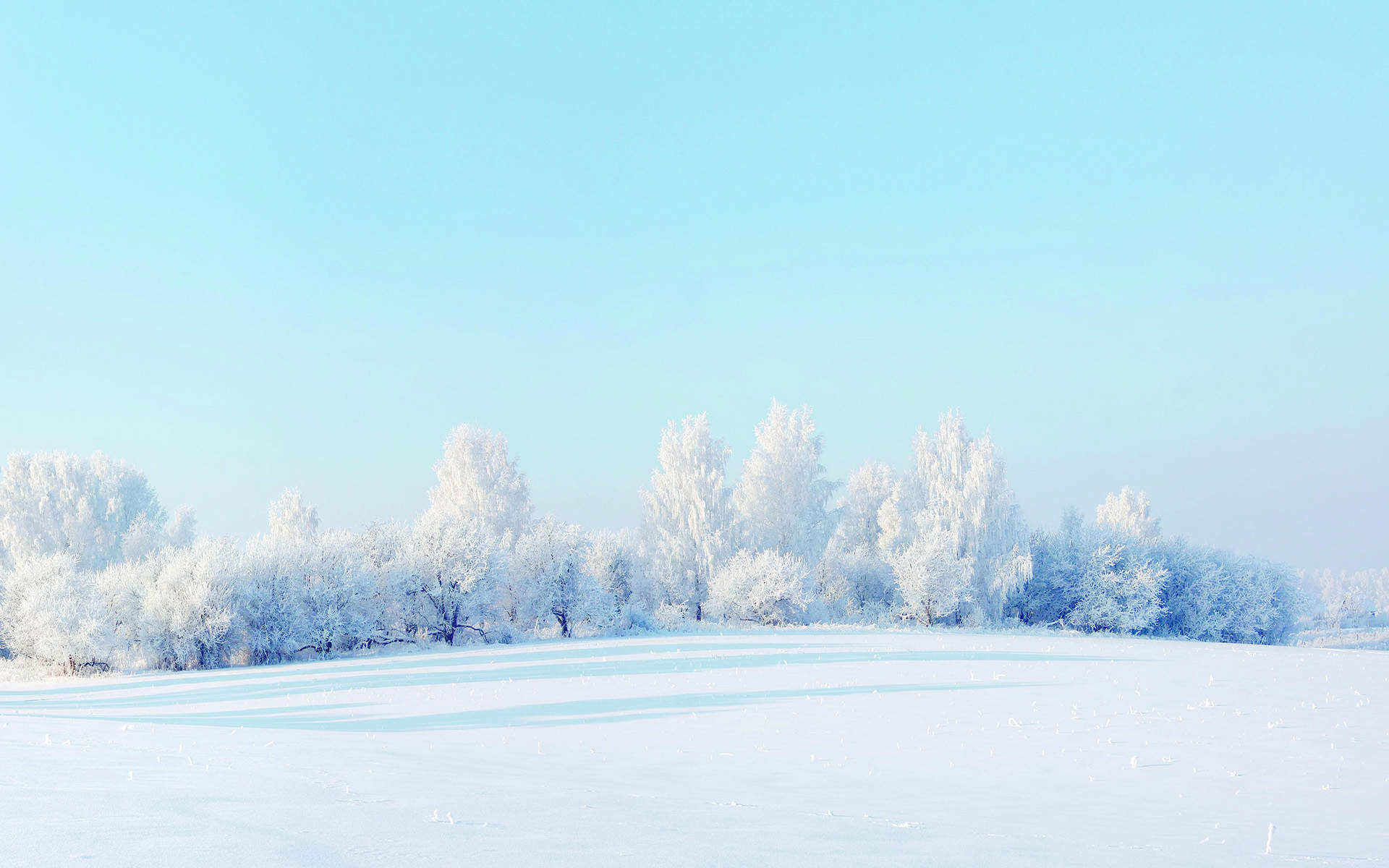 雪景图片