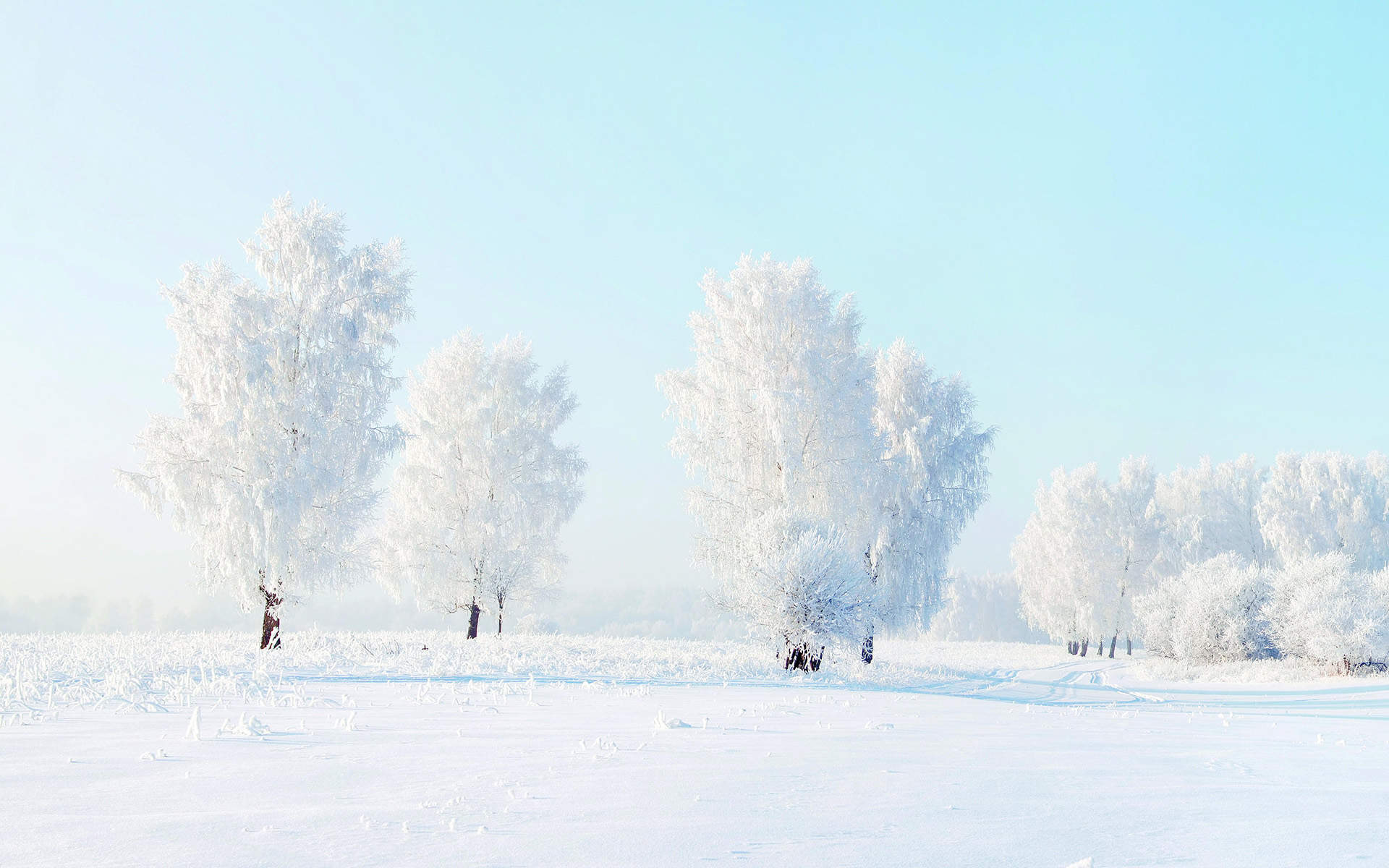 雪景图片