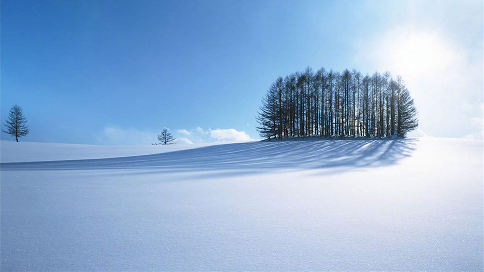 雪景图片
