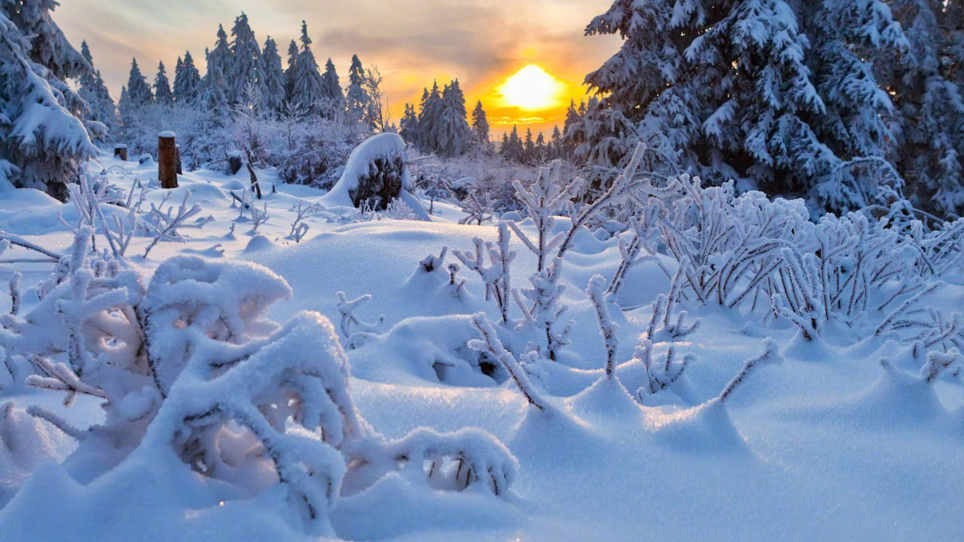 雪景图片