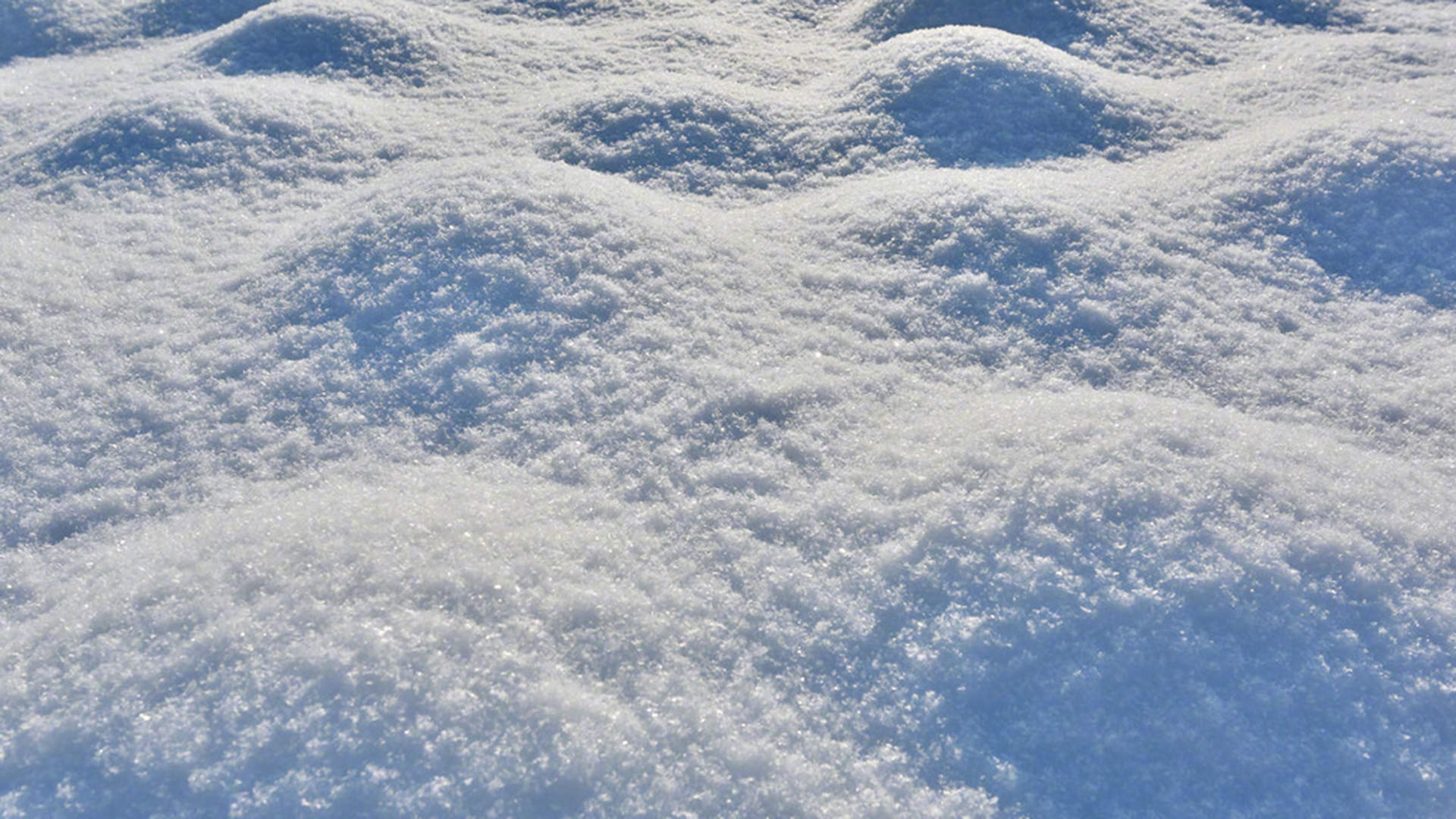 雪景图片