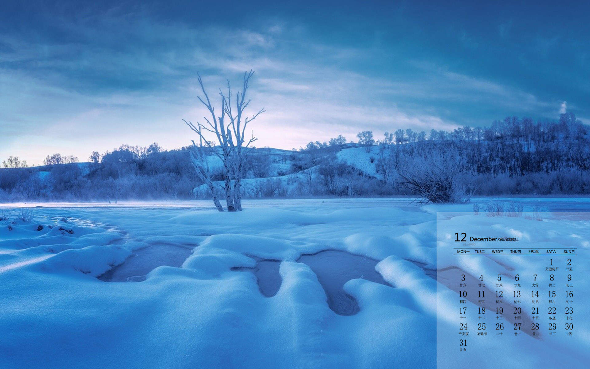 郑秀妍日本函馆冬日雪景唯美写真图片图片
