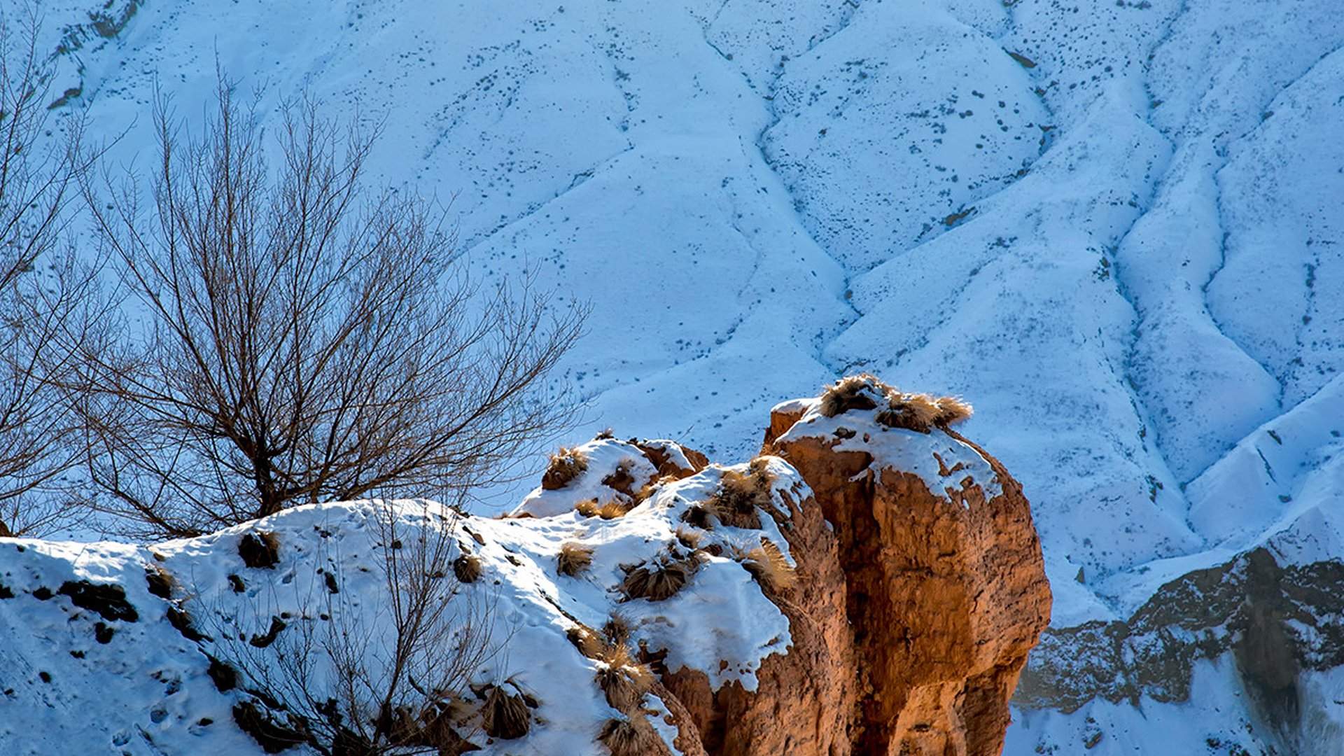 雪景图片
