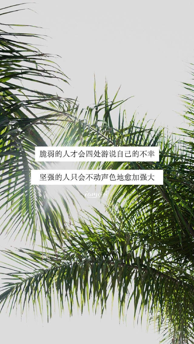 唯美海边风景图片手机壁纸图片